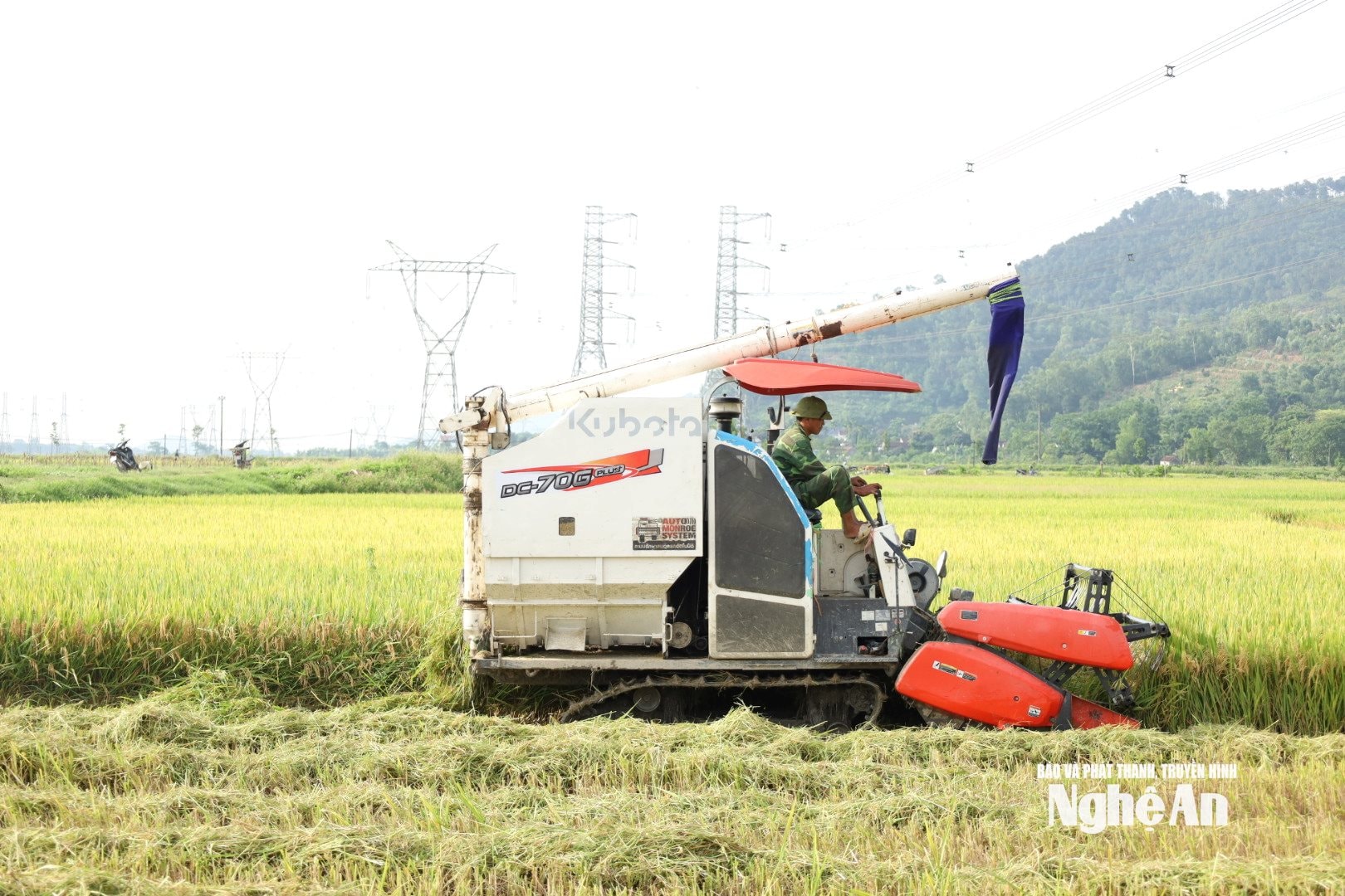 cơ giới