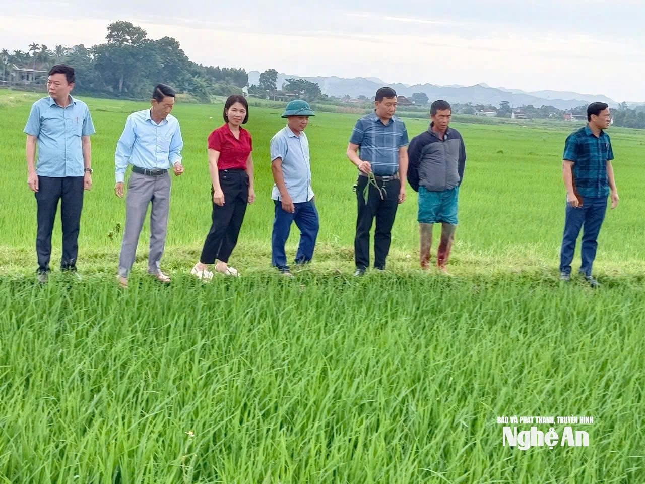 Khánh Ly