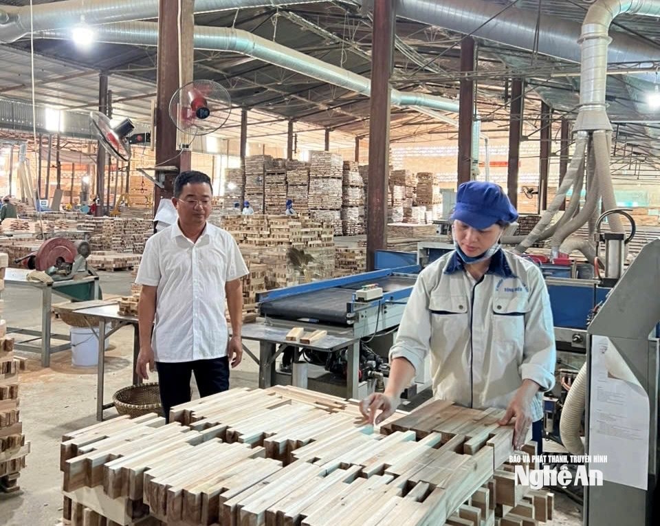 Sản xuất tại Công ty TNHH MTV lâm nghiệp Sông Hiếu