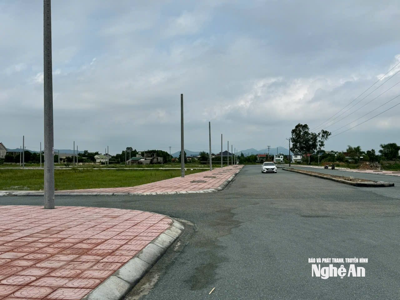  đấu giá 2