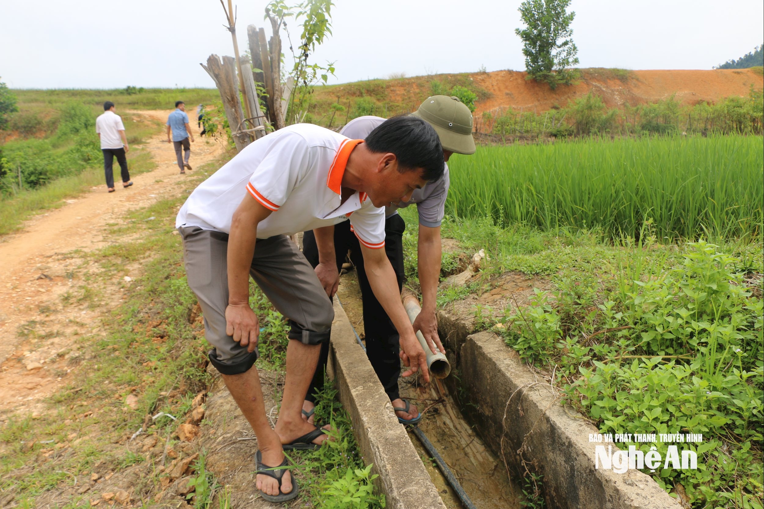 trơ cạn