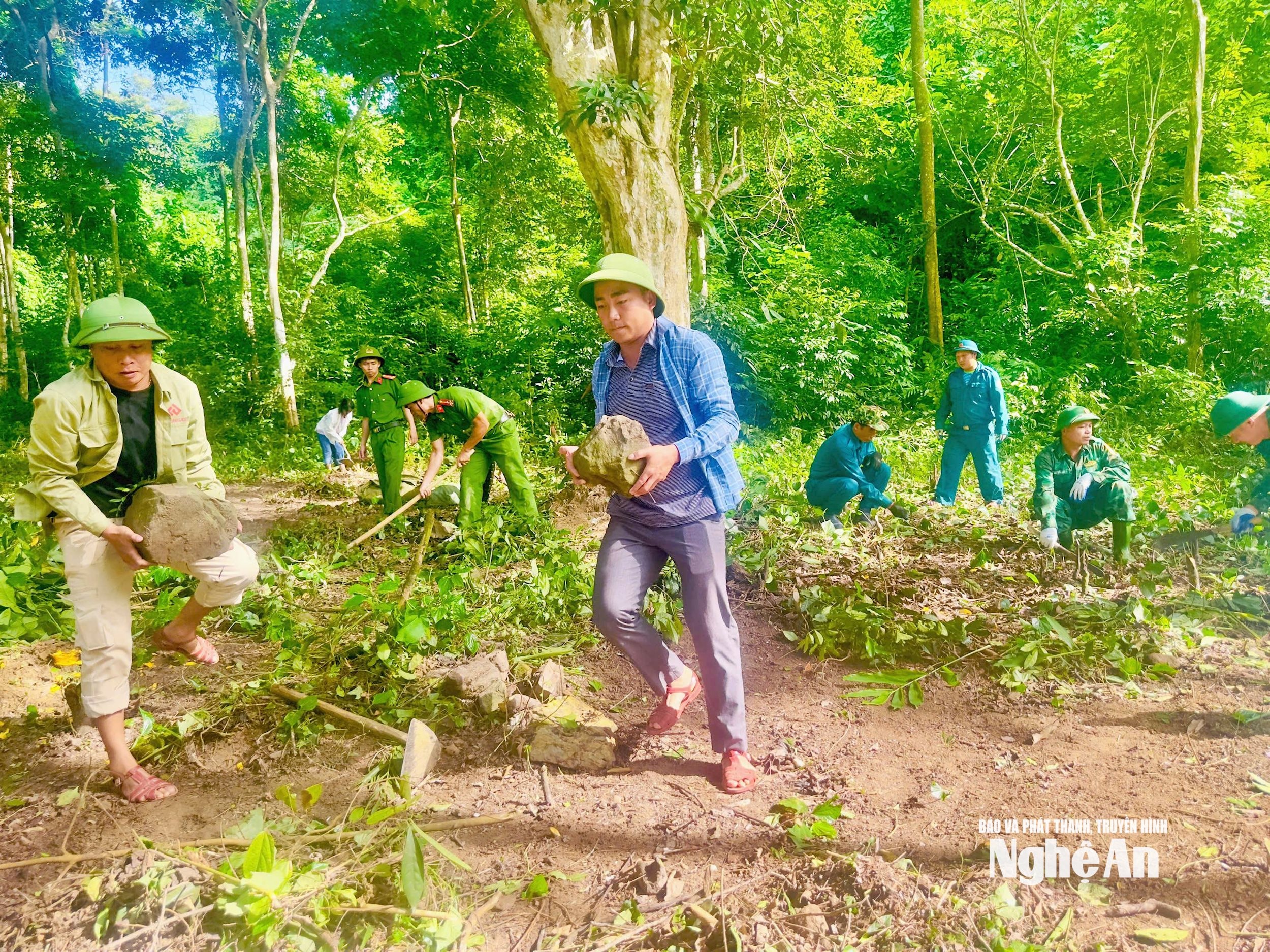 phs mựt 1