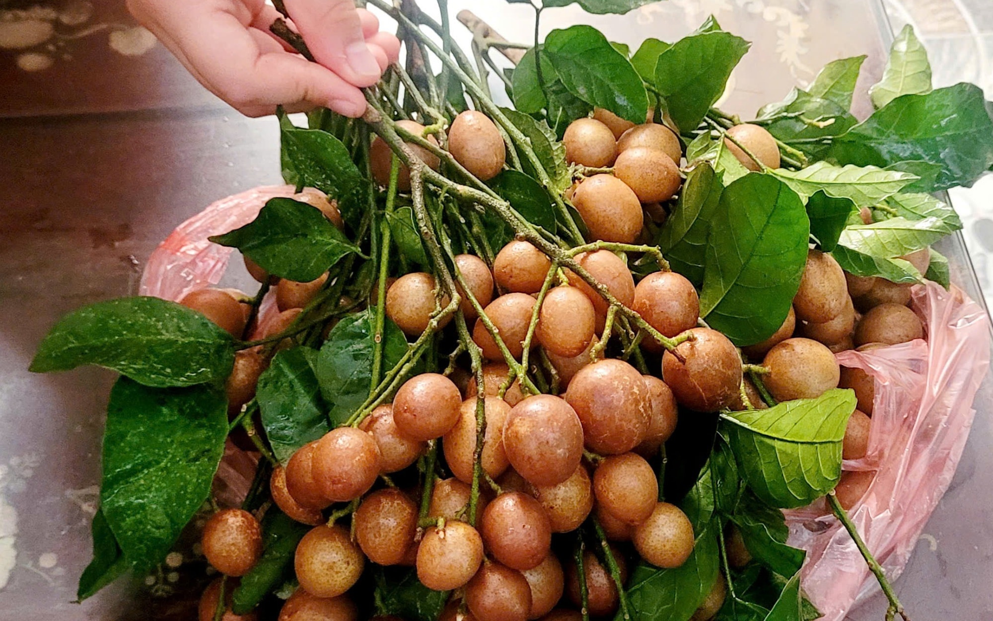 Công thức nước uống từ quất hồng bì giải nhiệt ngày nắng, vừa dễ làm lại ngon mê ly