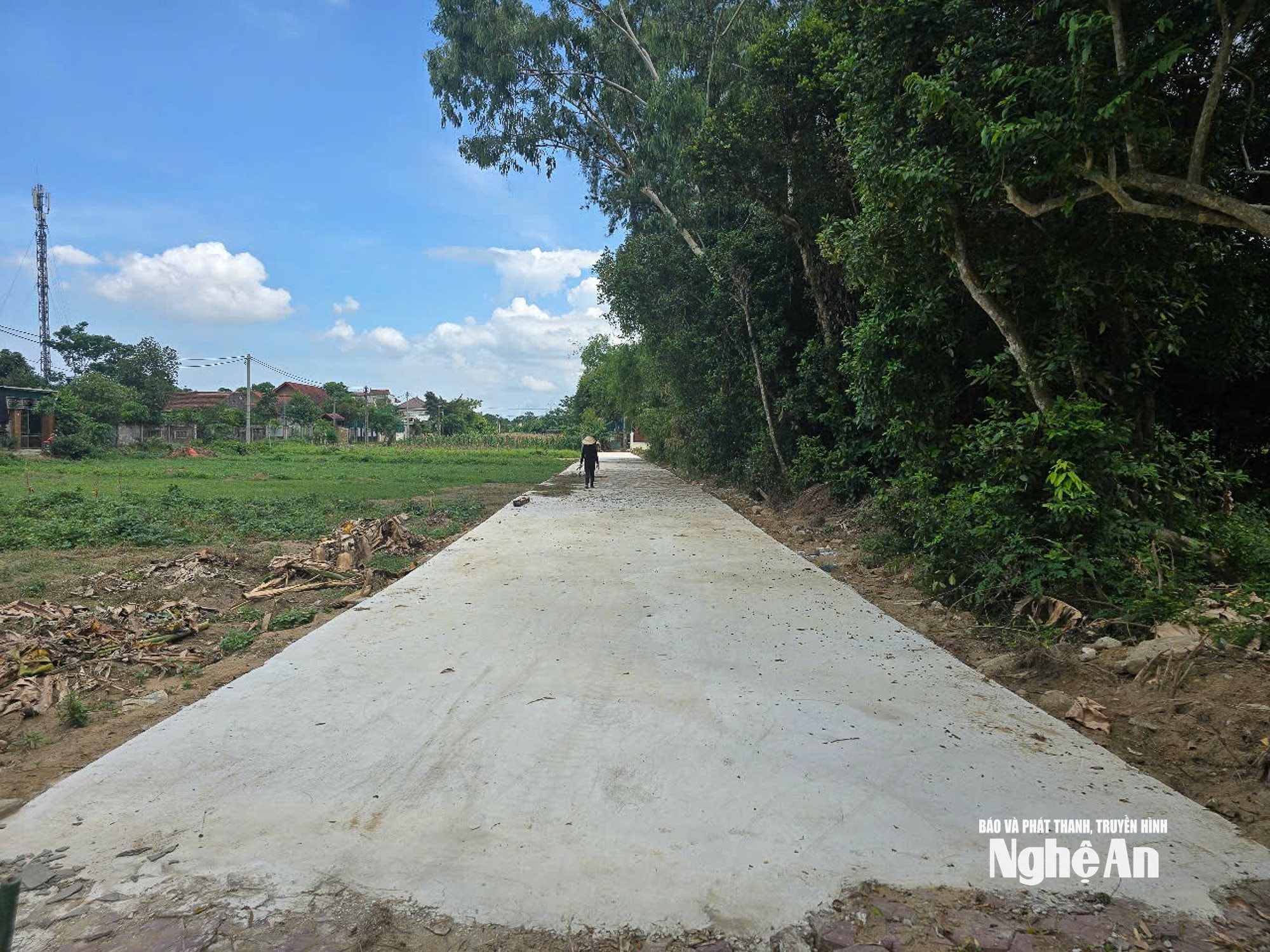 Con đường bê tông mọc lên trong 1 đêm tại phường Vinh Phú