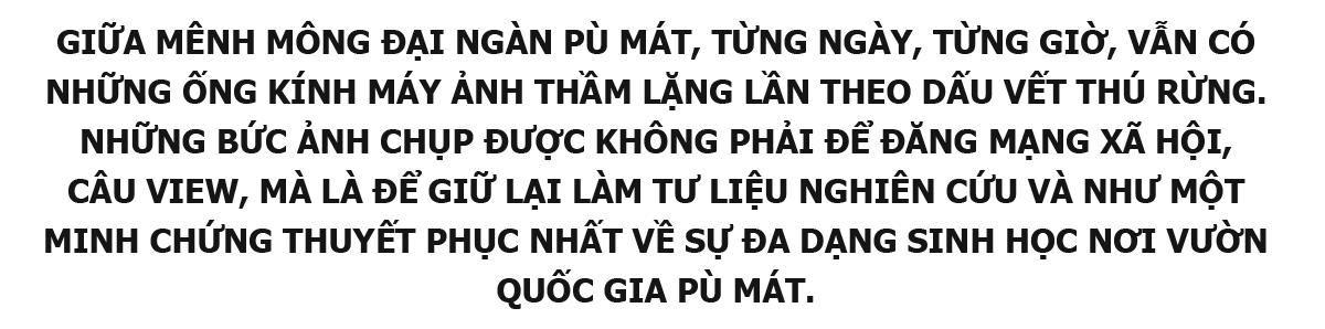 sapo.png