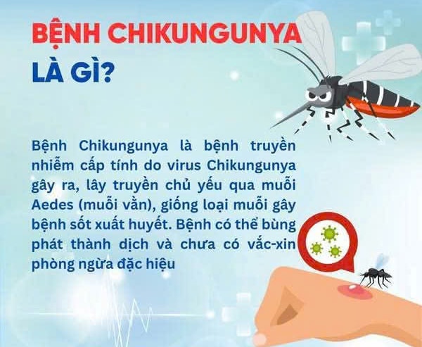 z6901576394597_e98328904bac0eecb0ae4279dd3ecdd9-d195aeca35221d43ade449cf533a9b1f.jpg