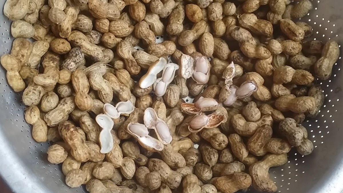 Mẹo luộc lạc “ngon hơn ngoài hàng” chỉ với vài bước đơn giản