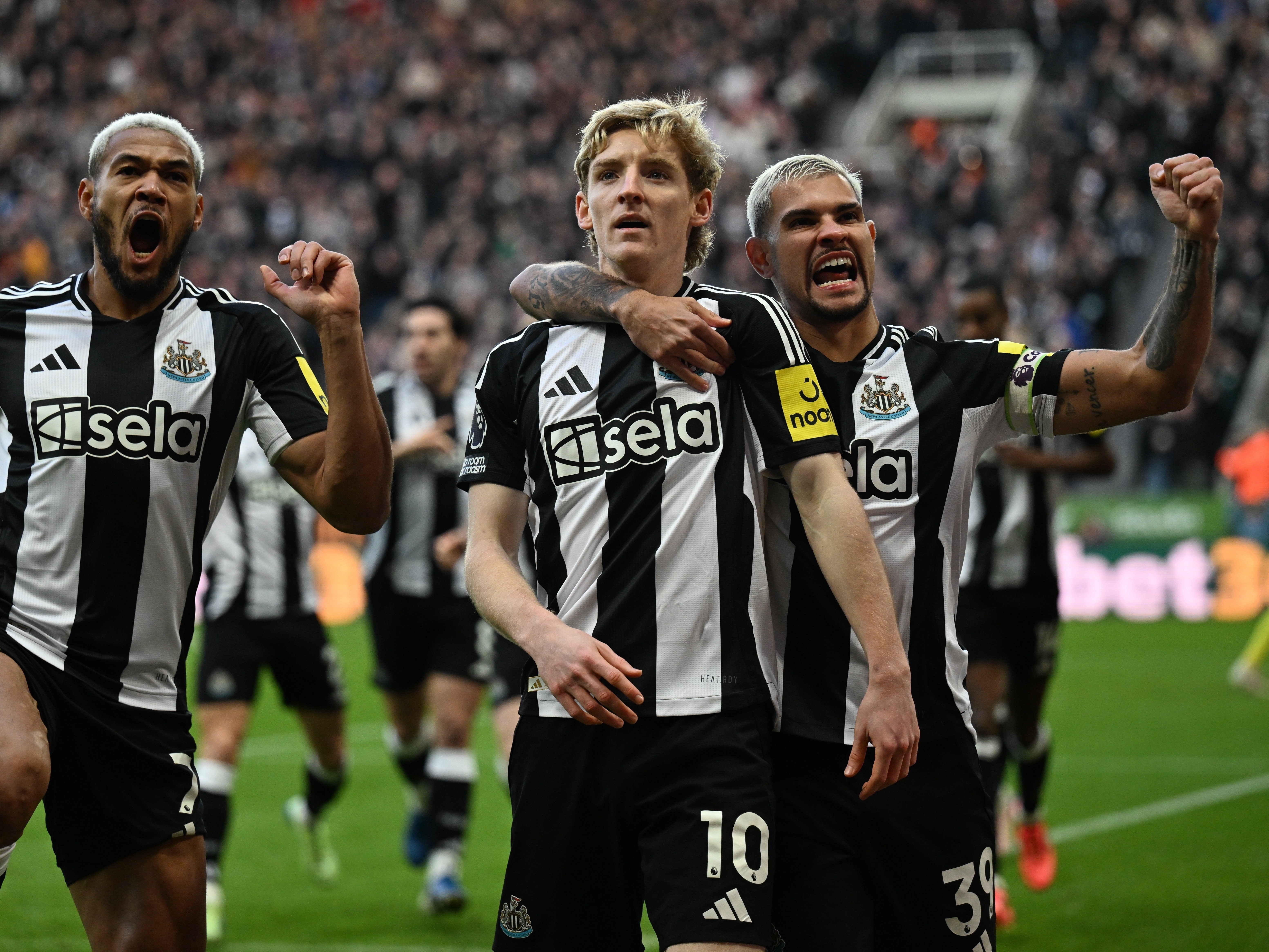 Newcastle United 3 Aston Villa 0 - Newcastle United