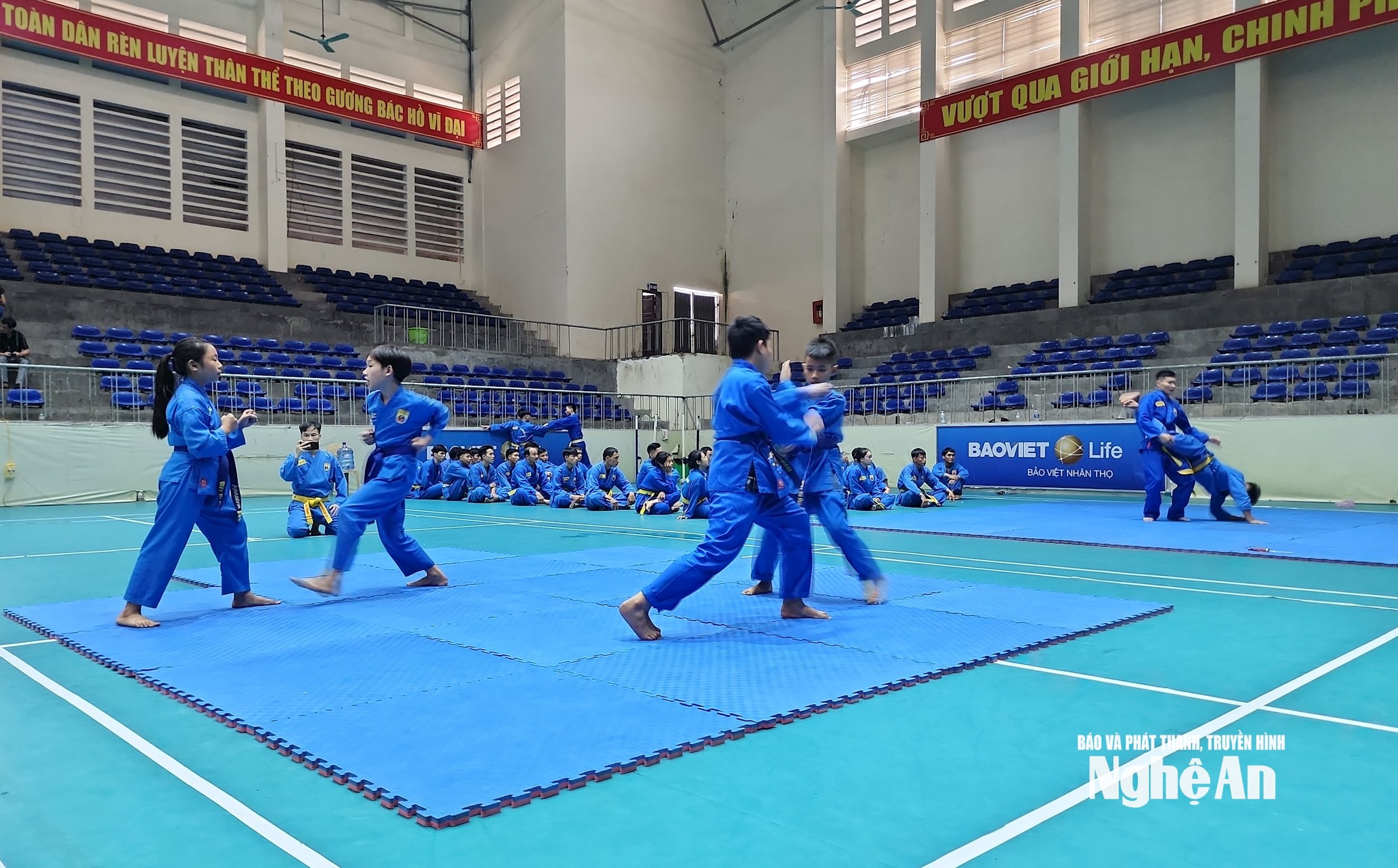 danh vovinam