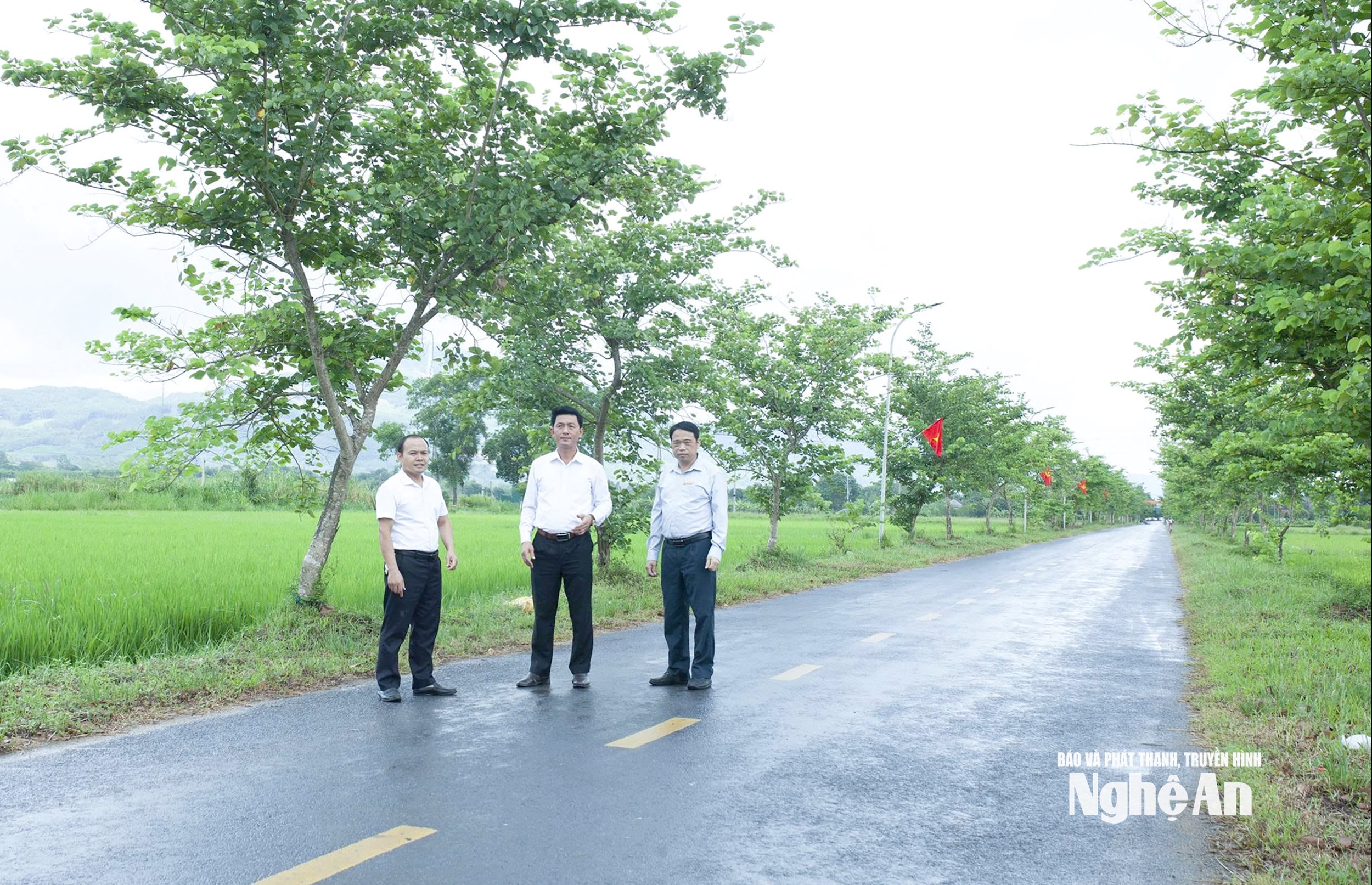 Diện mạo nông thôn mới xã Nam Đàn thay đổi xanh - sạch - đẹp. Ảnh- CSCC