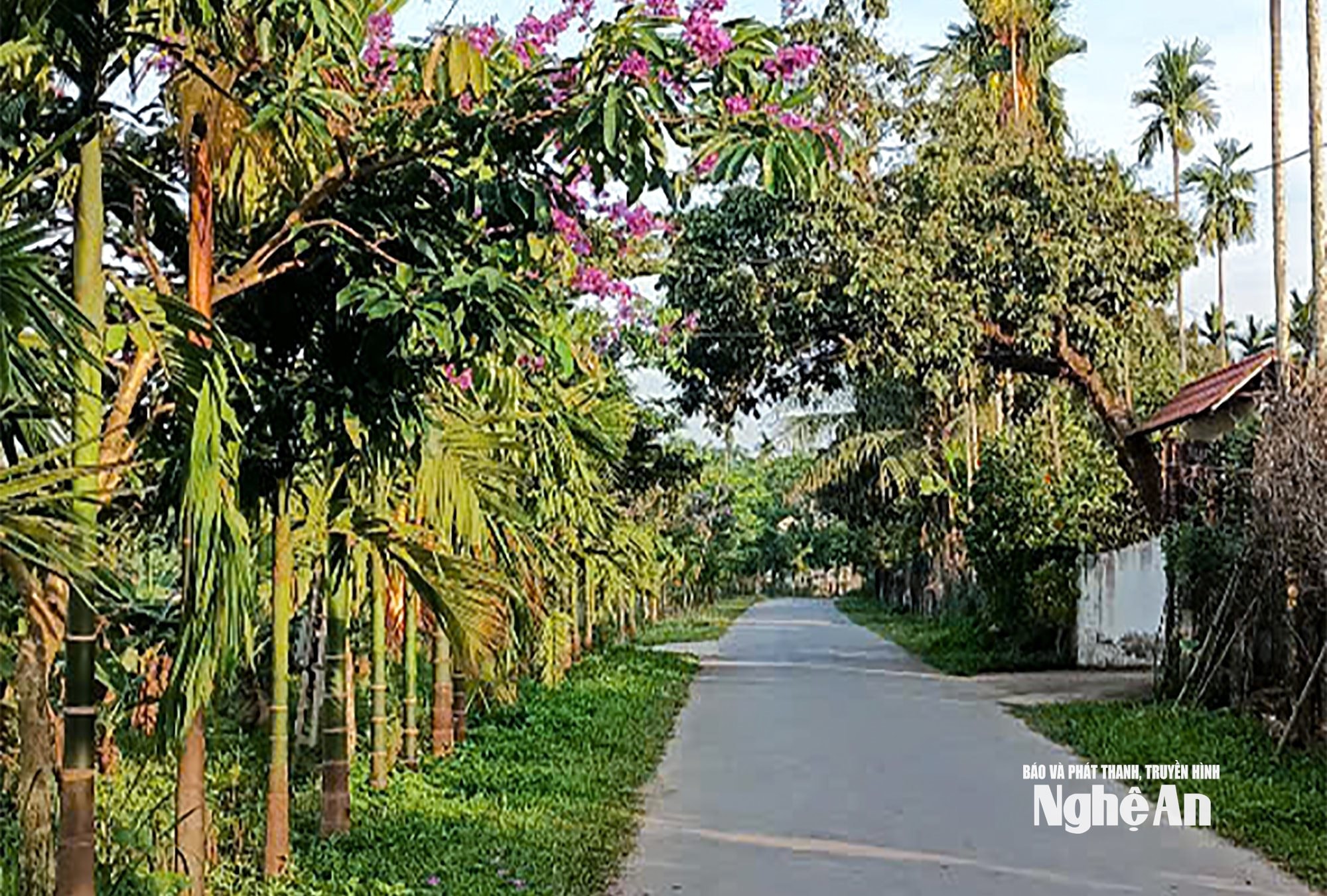  bo-mat-nong-thon-phong-thinh-duoc-xay-dung-xanh-sach-dep