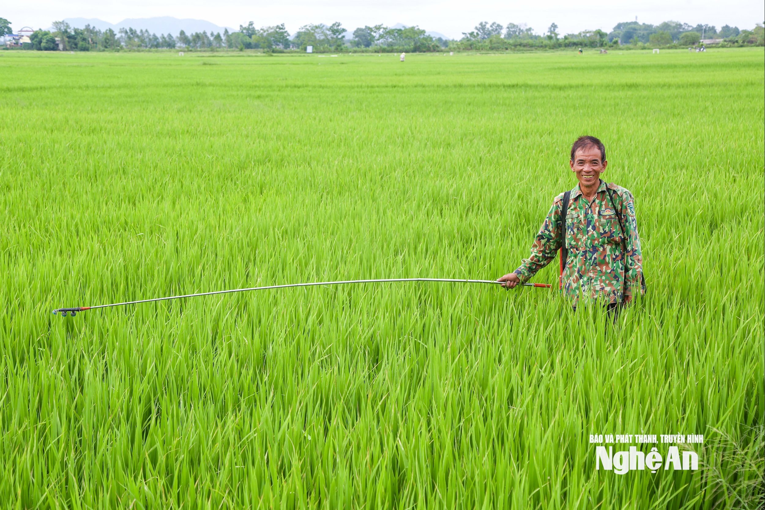 ảnh Đình Tuyên (11)