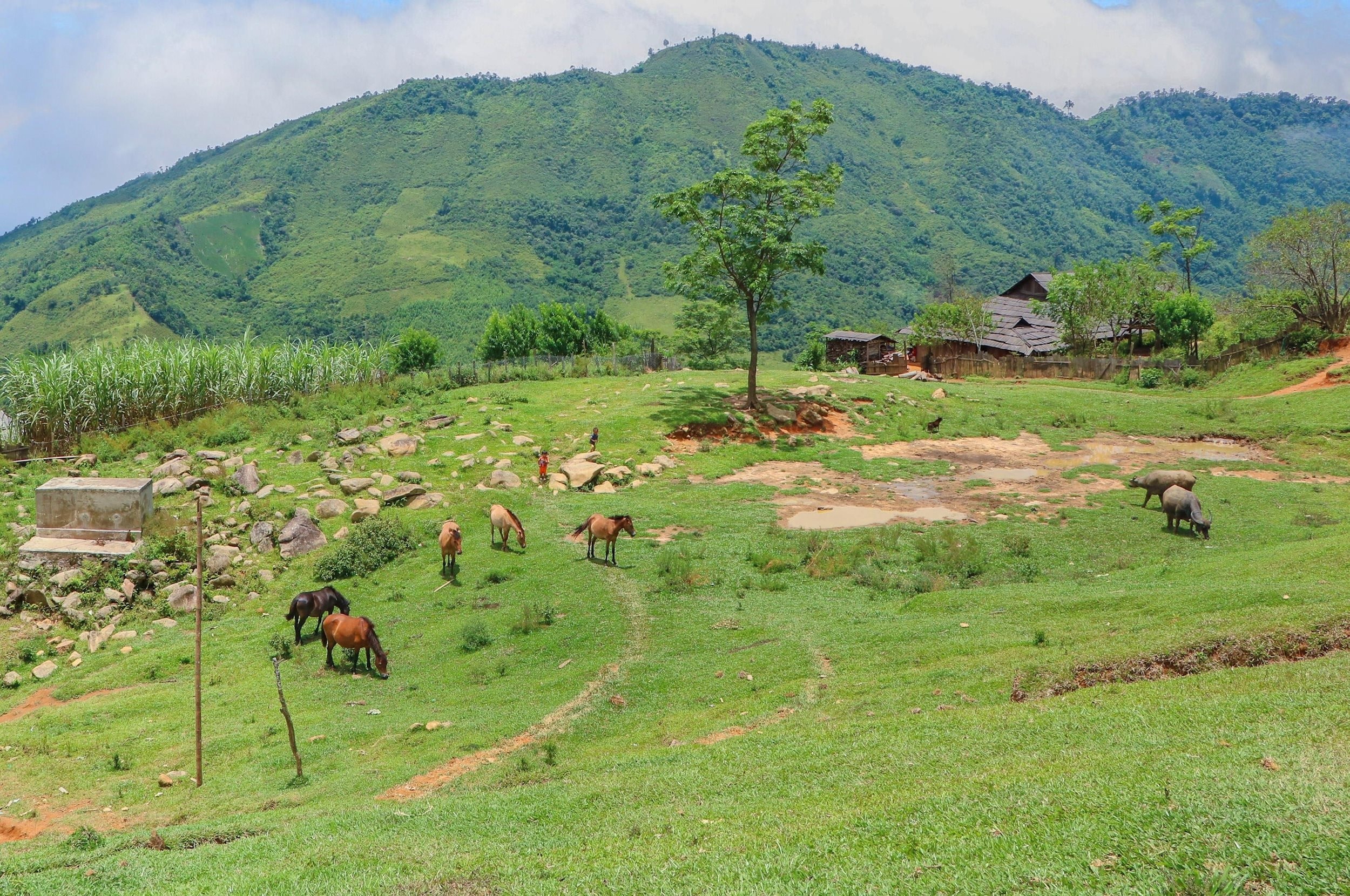 Xã Tri Lễ