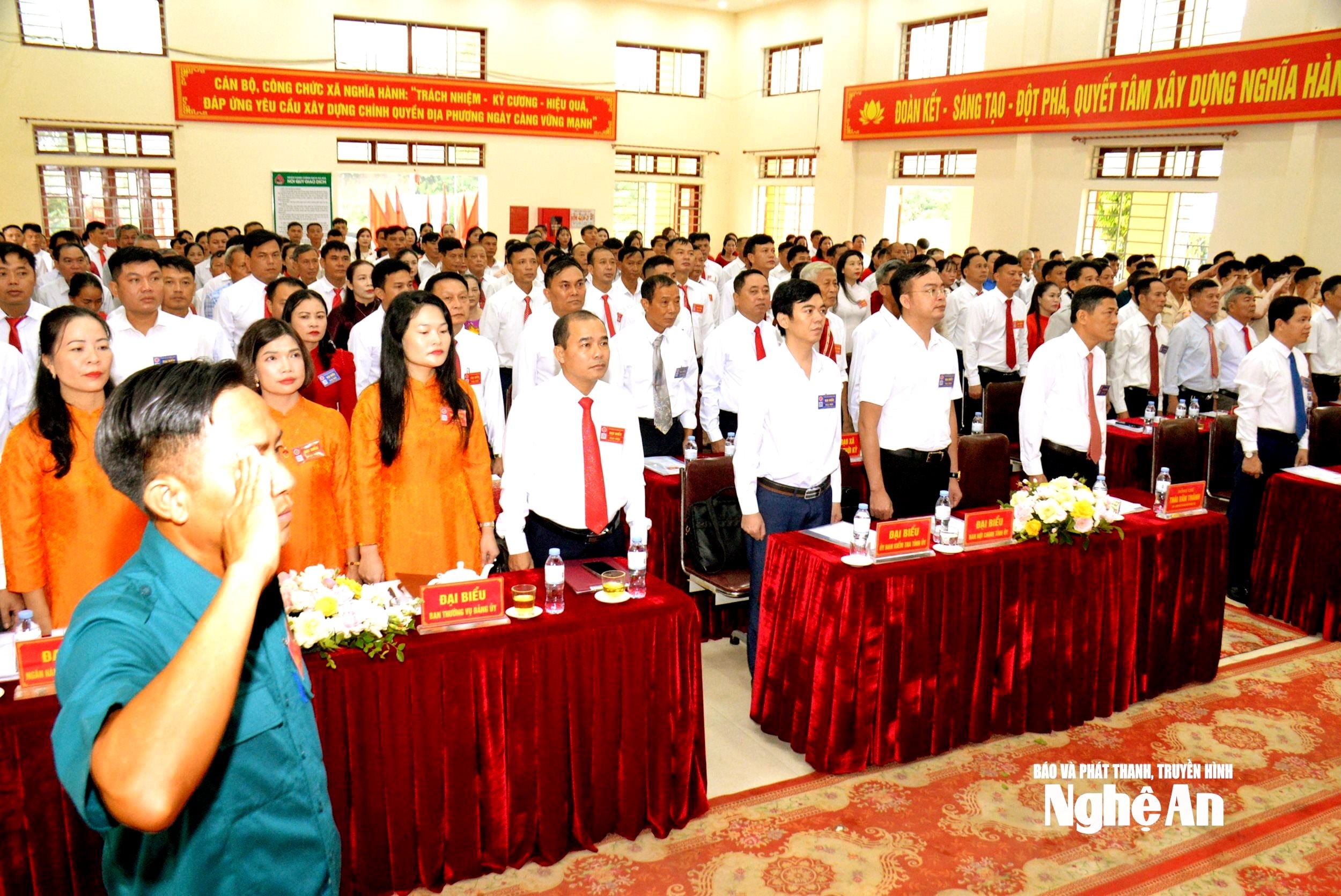 bna_nh-7(1).jpg