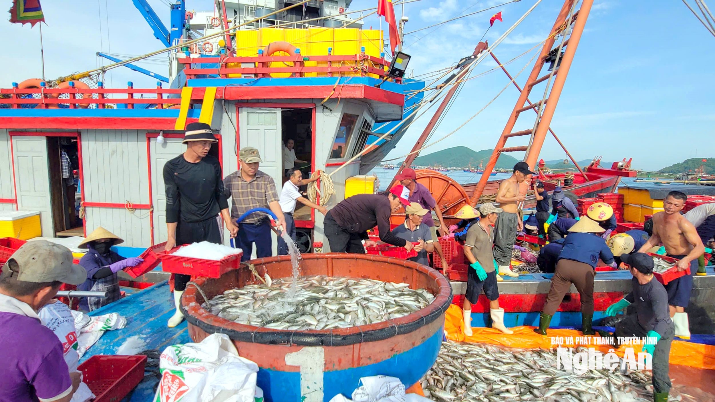 Трюмы судна полны морепродуктов после каждого рейса