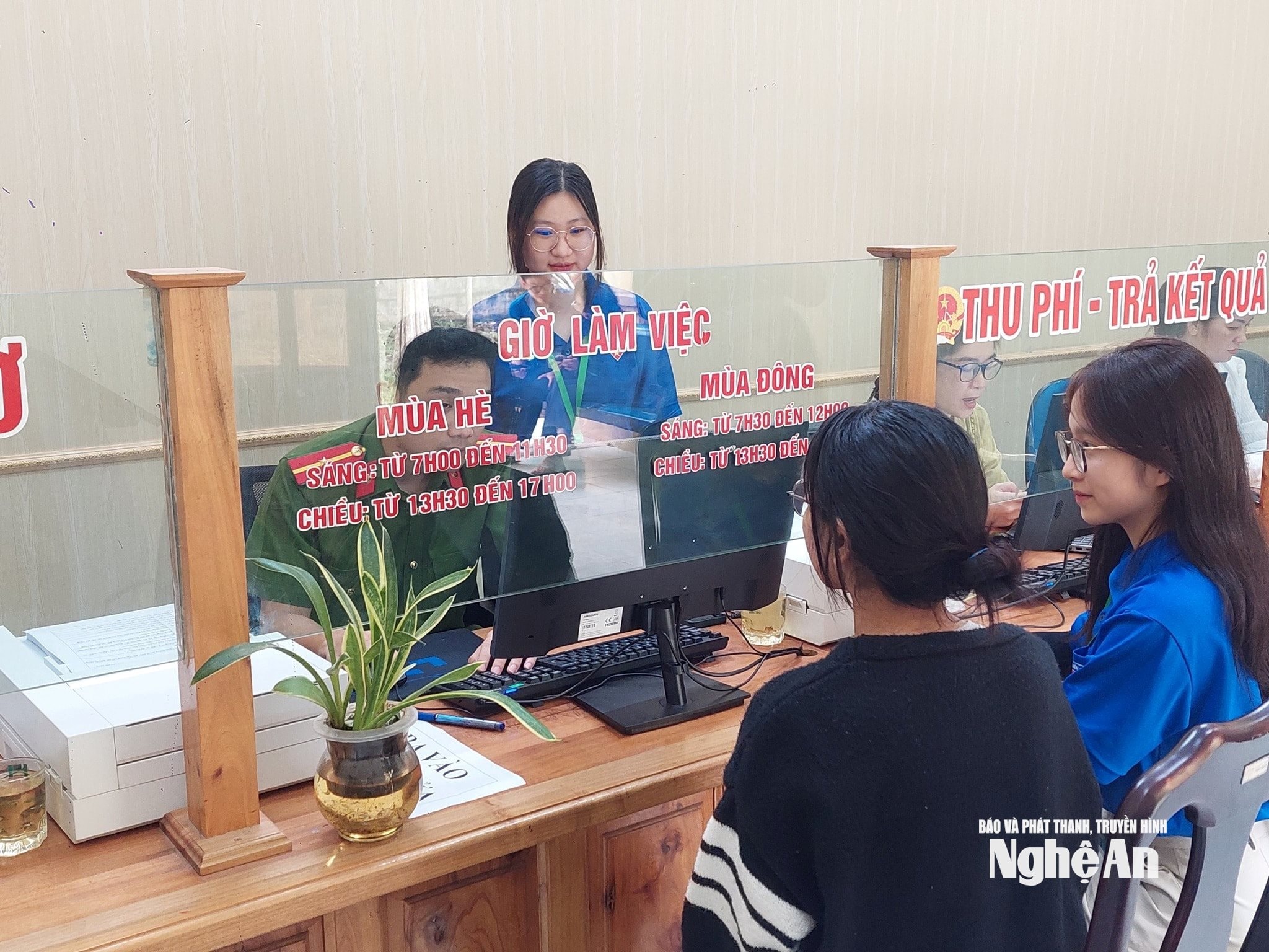 4.ảnh pv