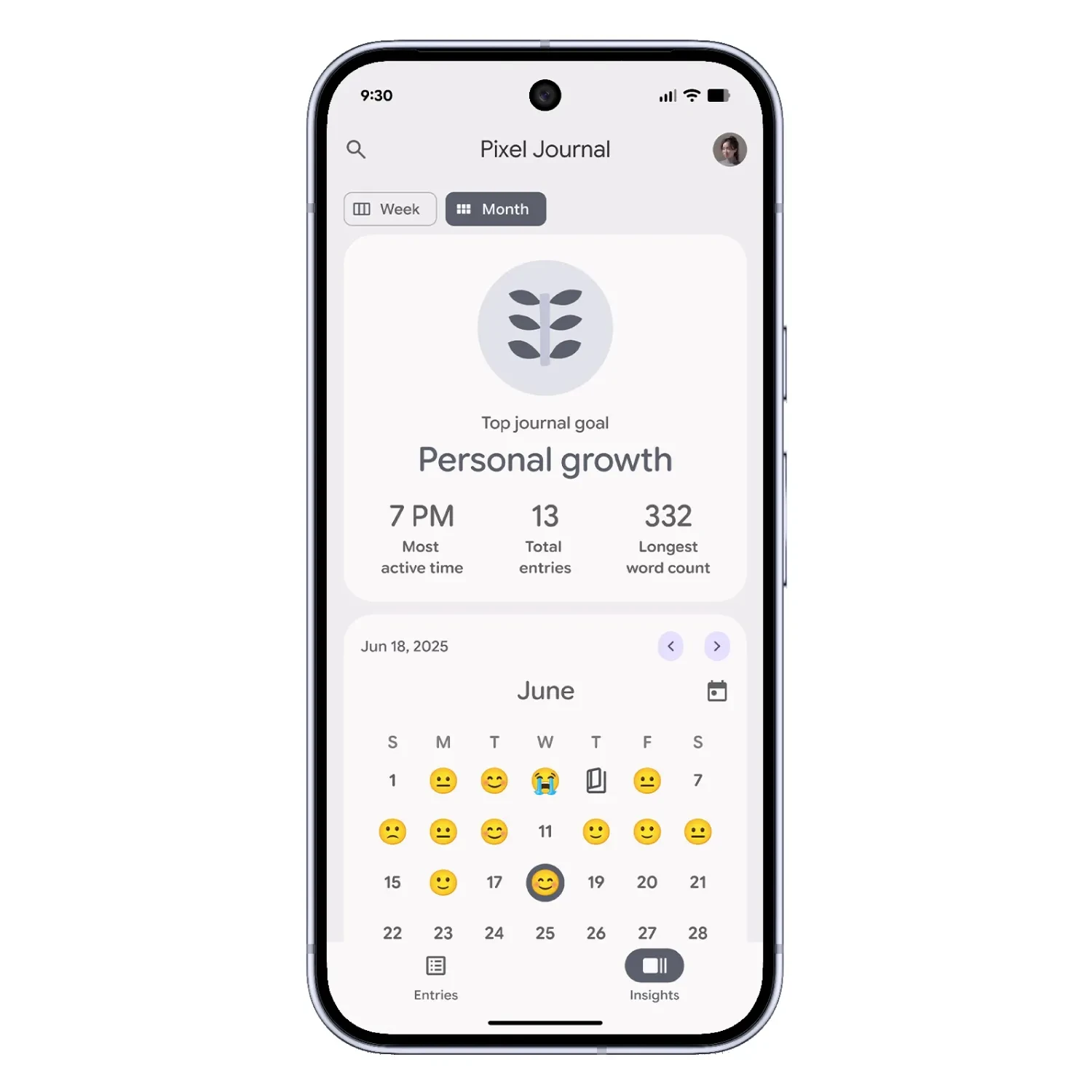 Image of Pixel Journal highlighting Personal Growth as the top journal goal
