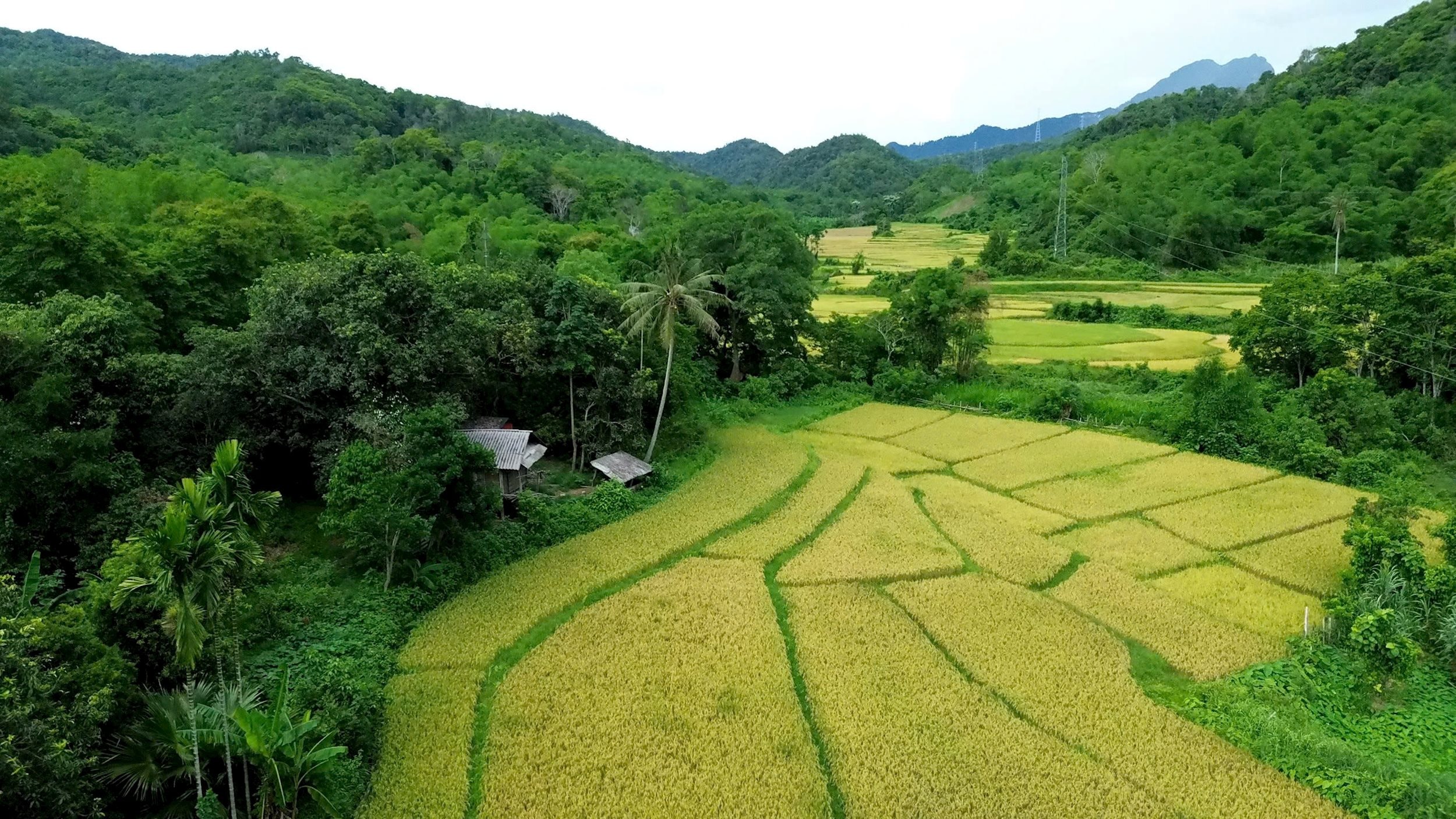 Xã Tam Thái
