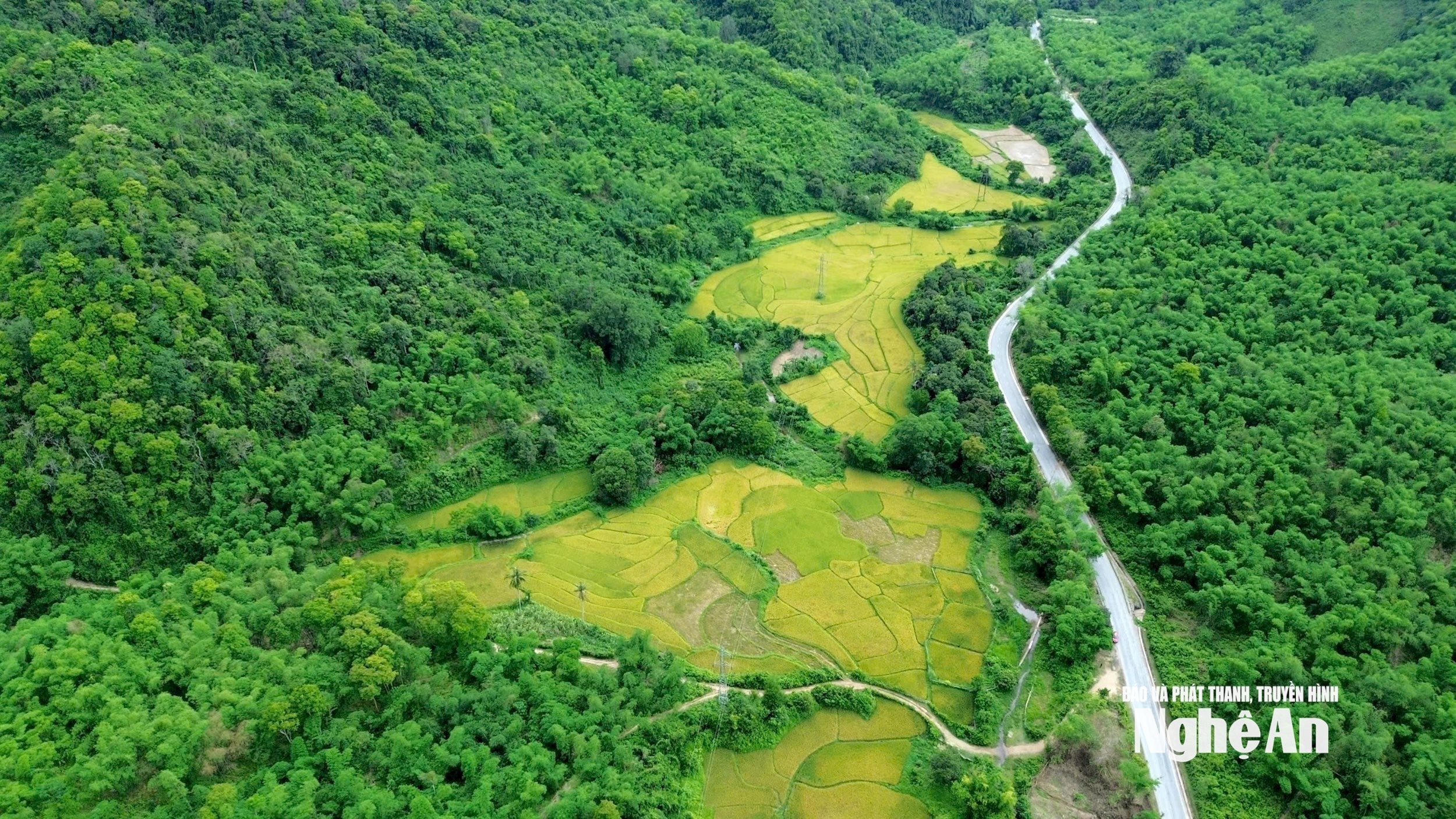 1.ảnh pv