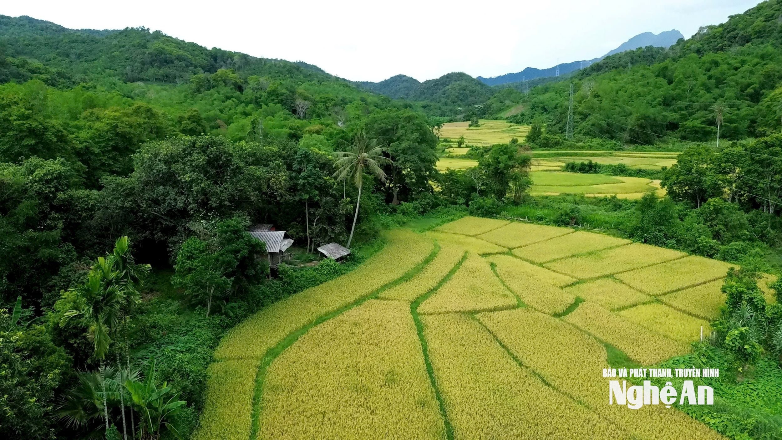 3.ảnh pv