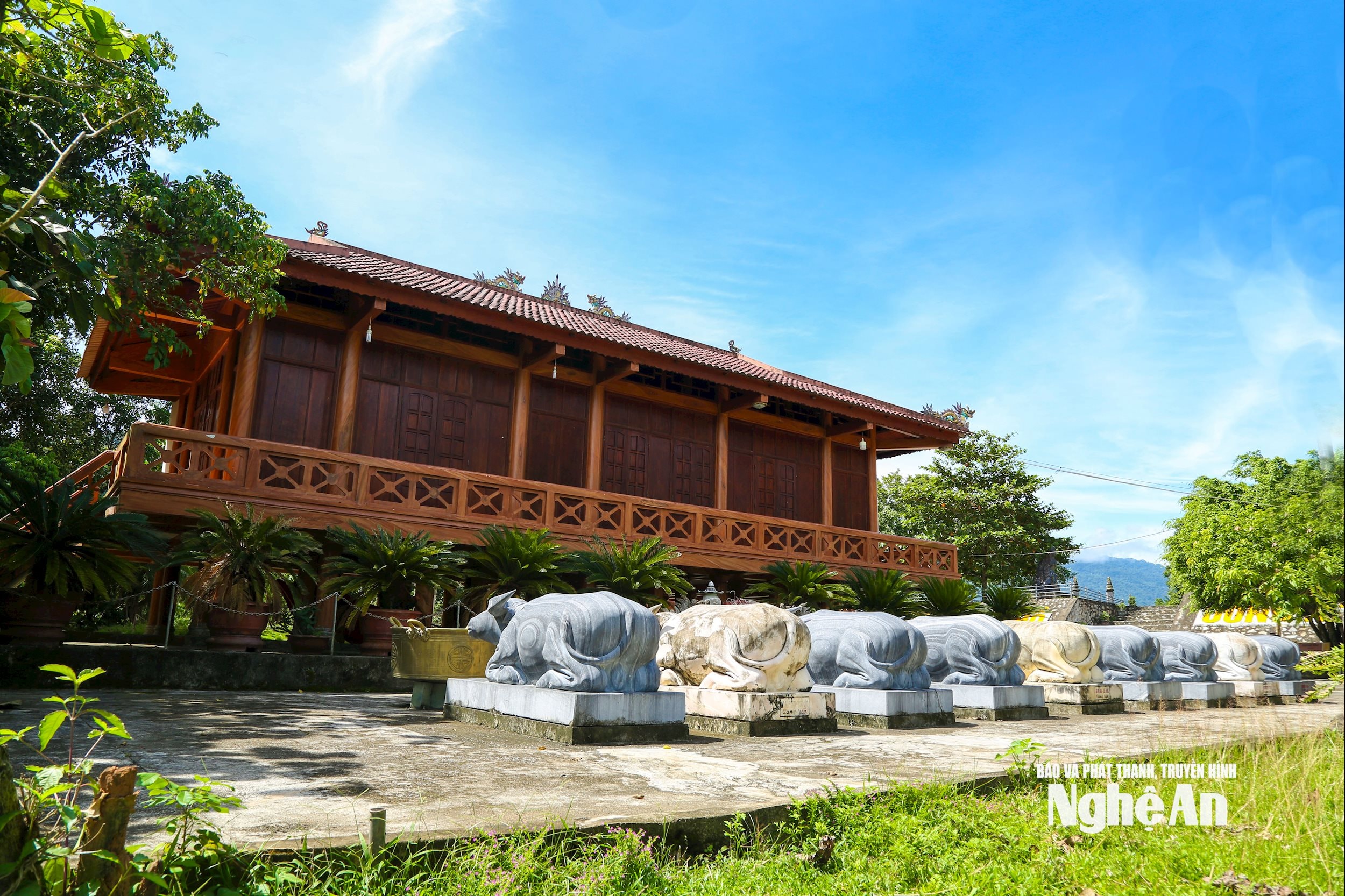 12.ảnh pv