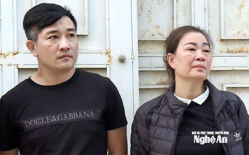 7.ảnh pv