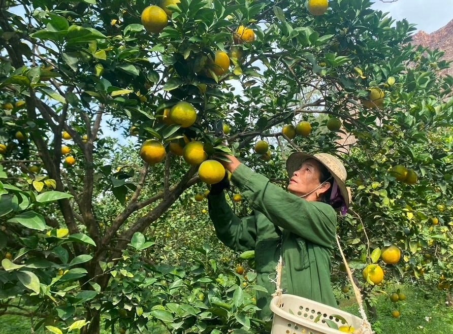 Xã Minh Hợp