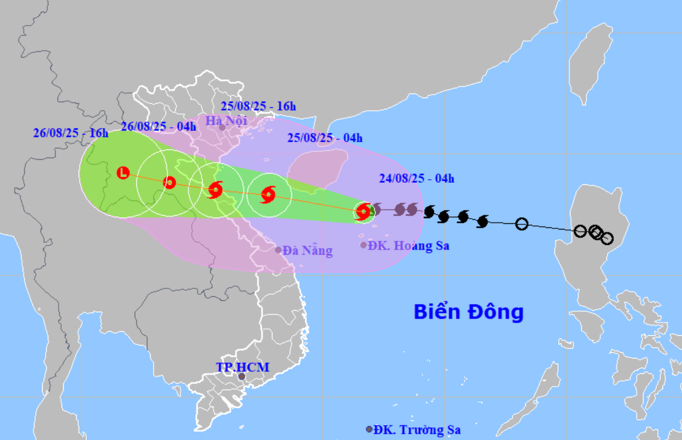 bao-so-5-nam-2025-17559885000962055176391.png