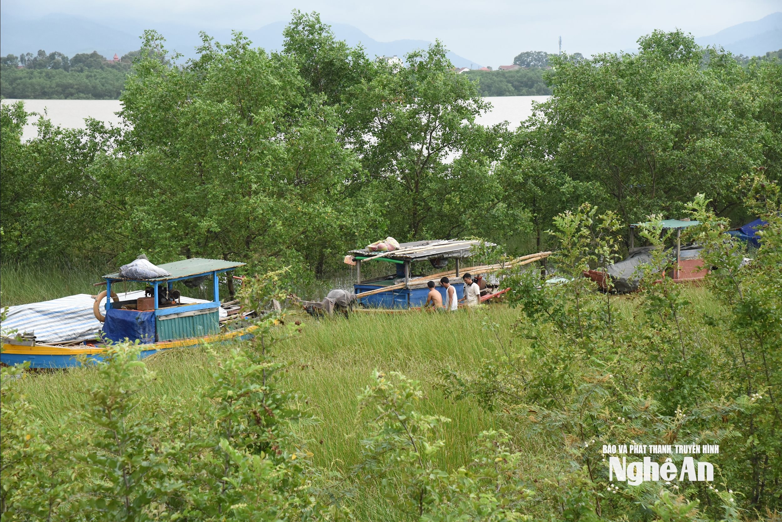bna_7419.jpg