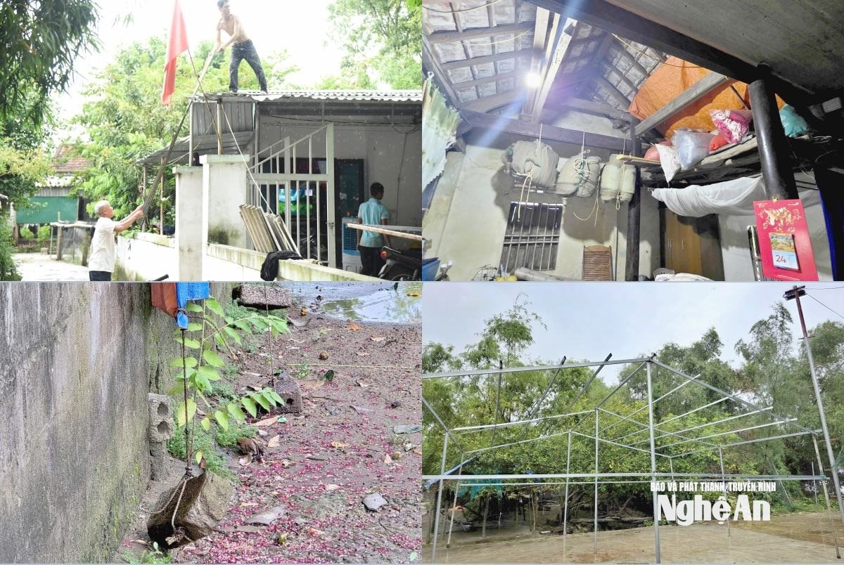 7439 Treo đồ, chằng chống