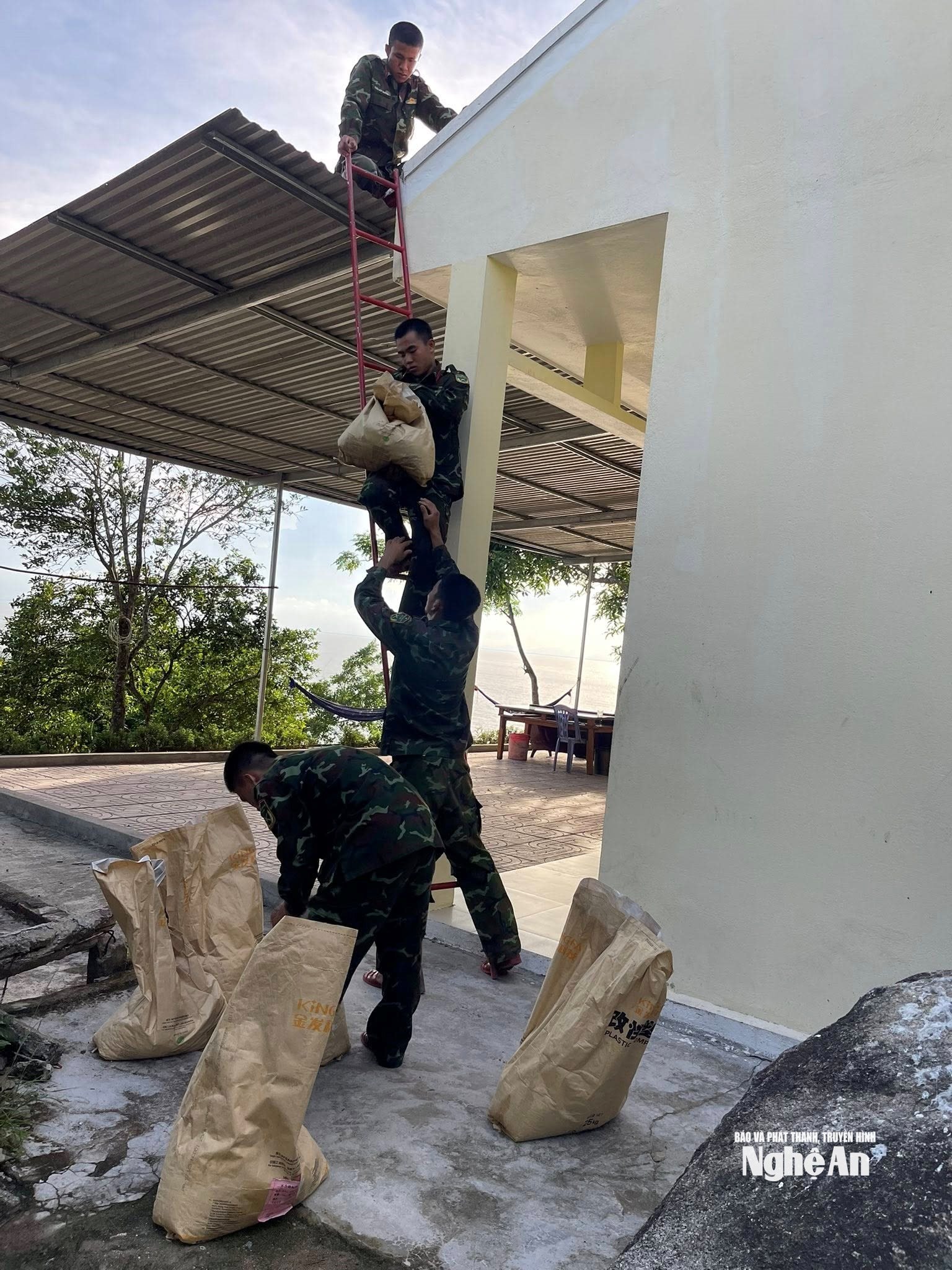 Đảo mắt