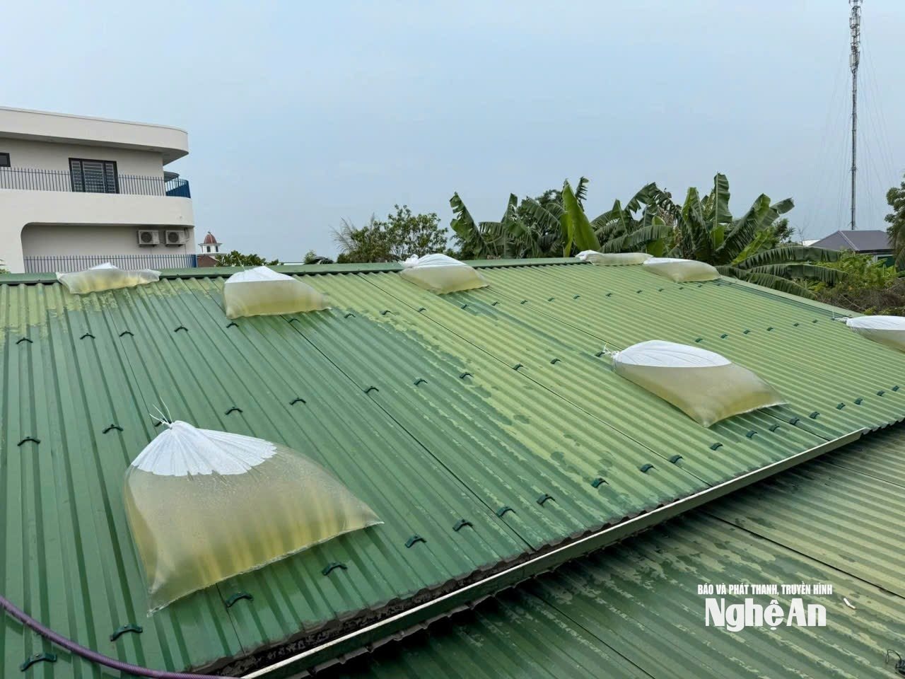 bna_giang.jpg