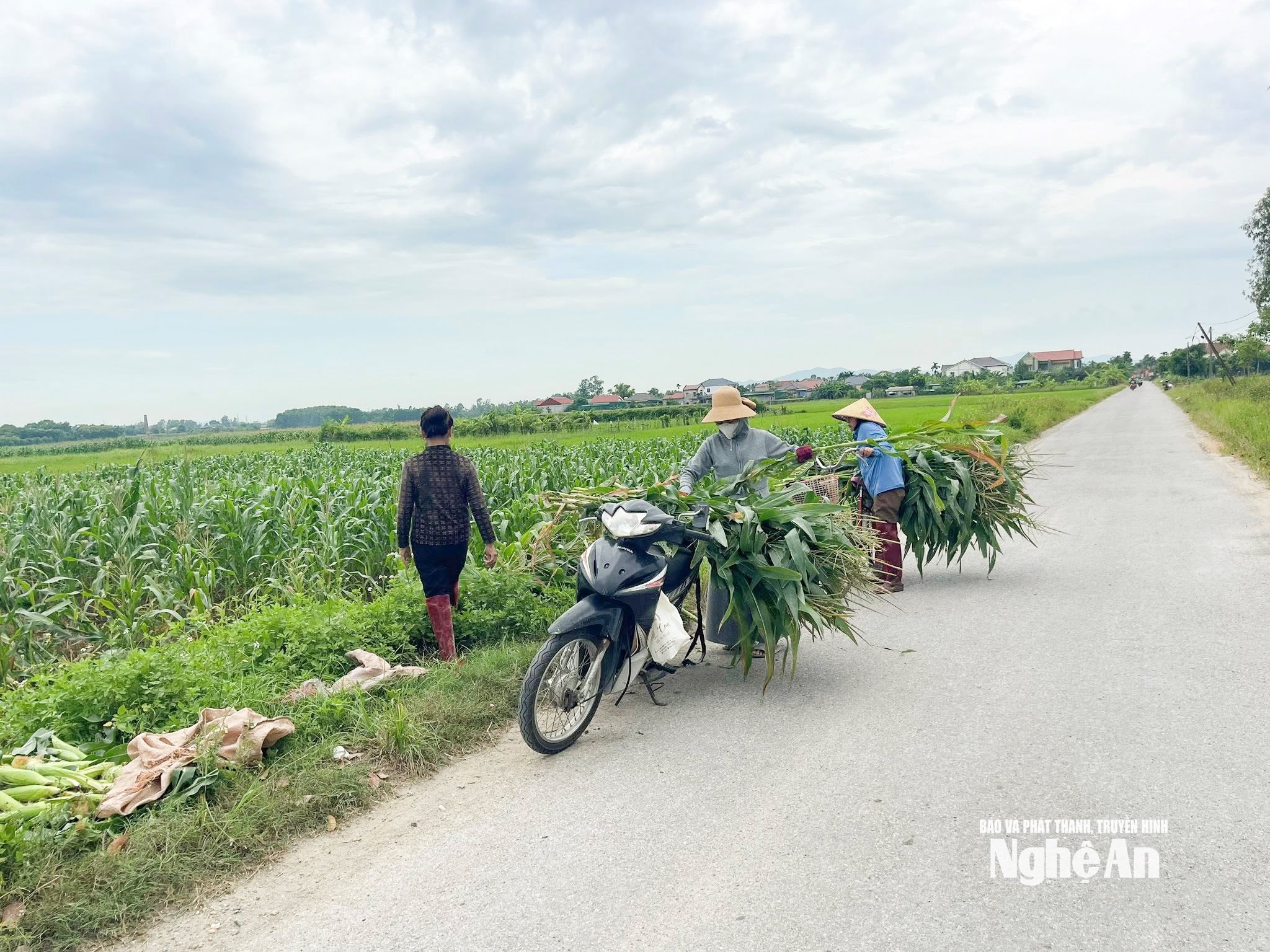 vinh hưng