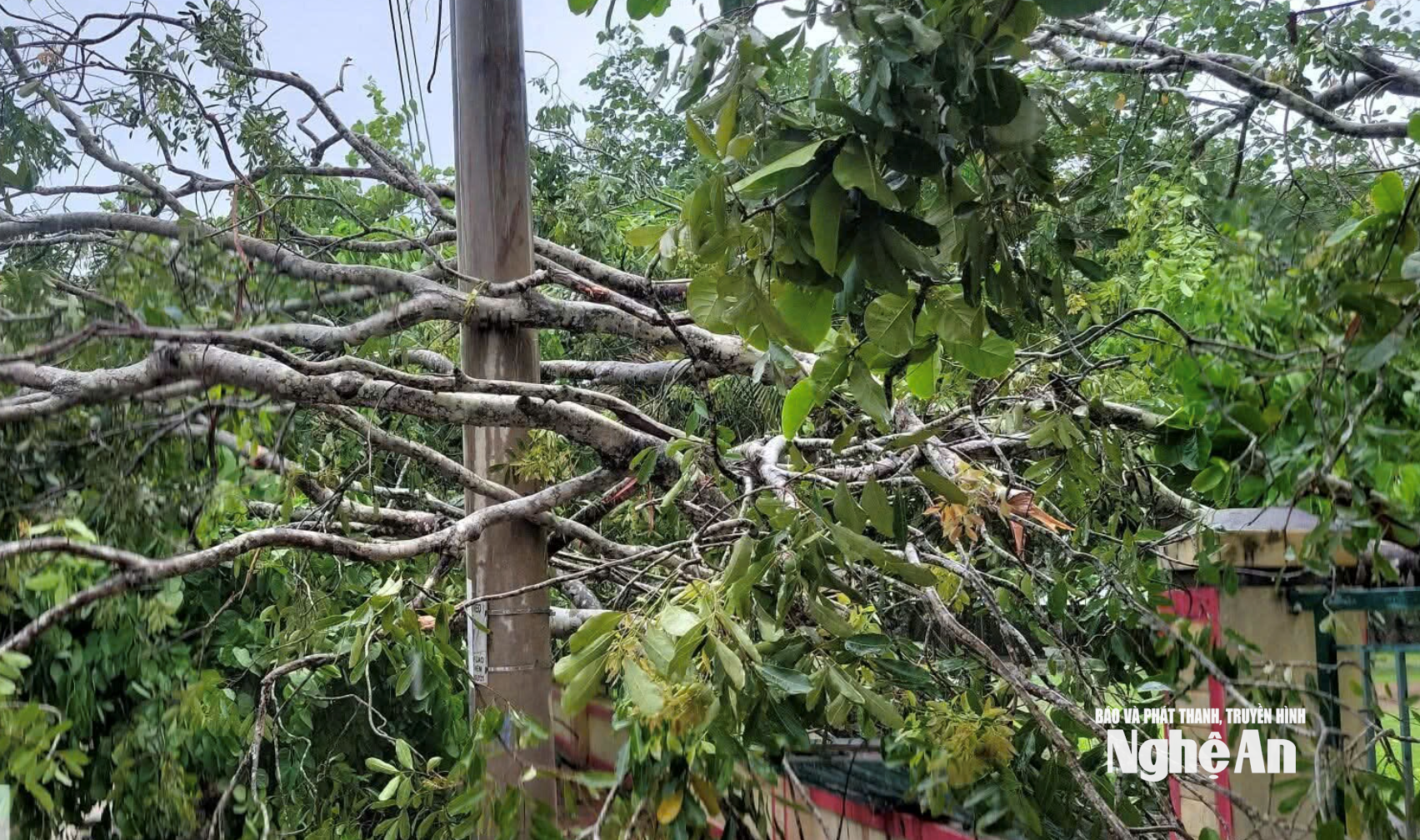 Ảnh màn hình 2025-08-25 lúc 15.58.06