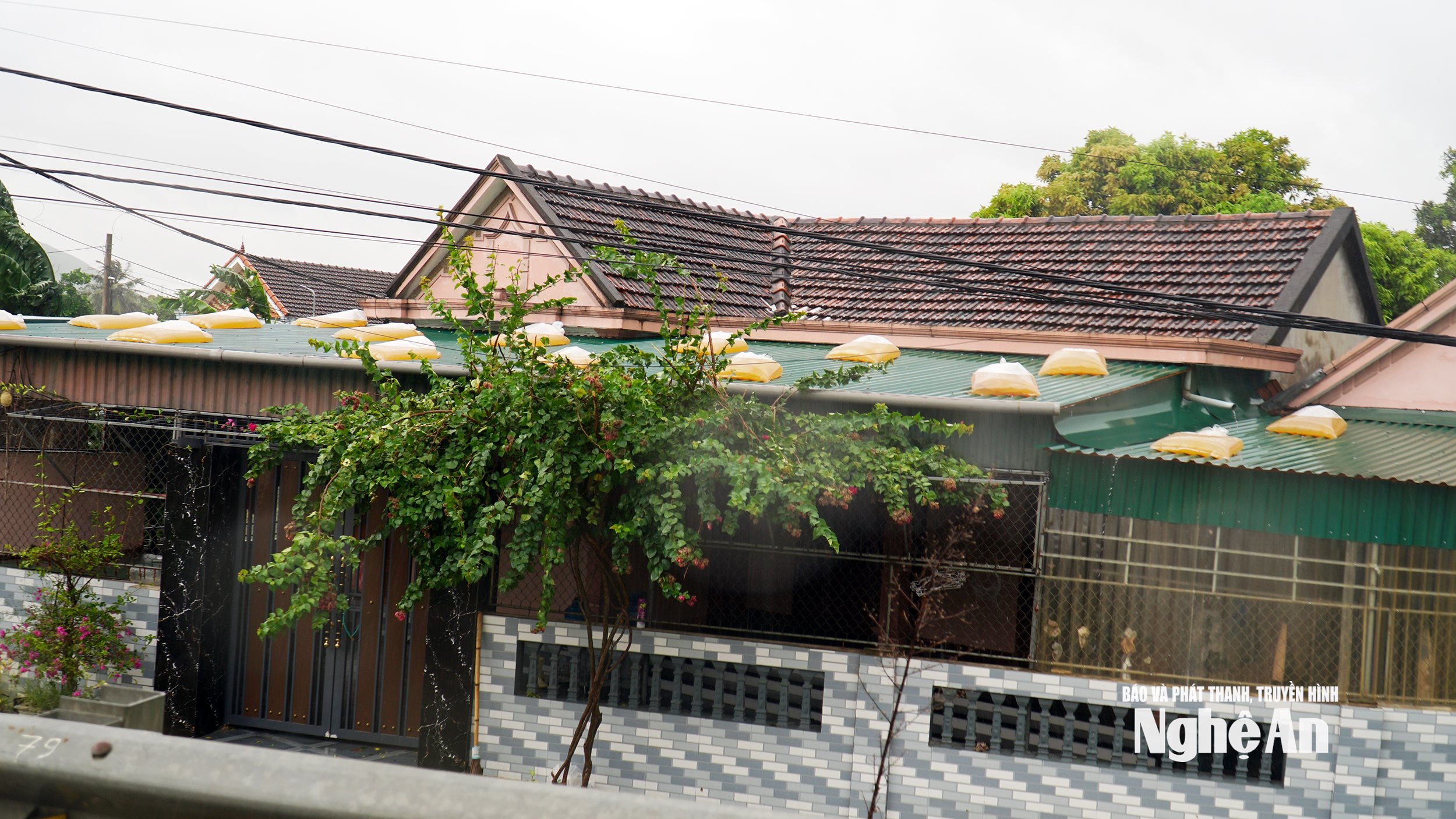 a8. រូបថត - Phu Huong