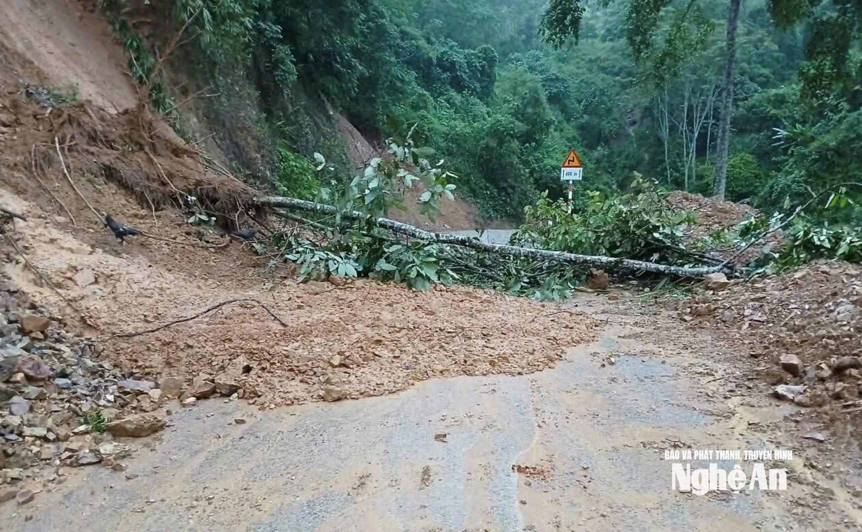 Ảnh màn hình 2025-08-26 lúc 09.59.54