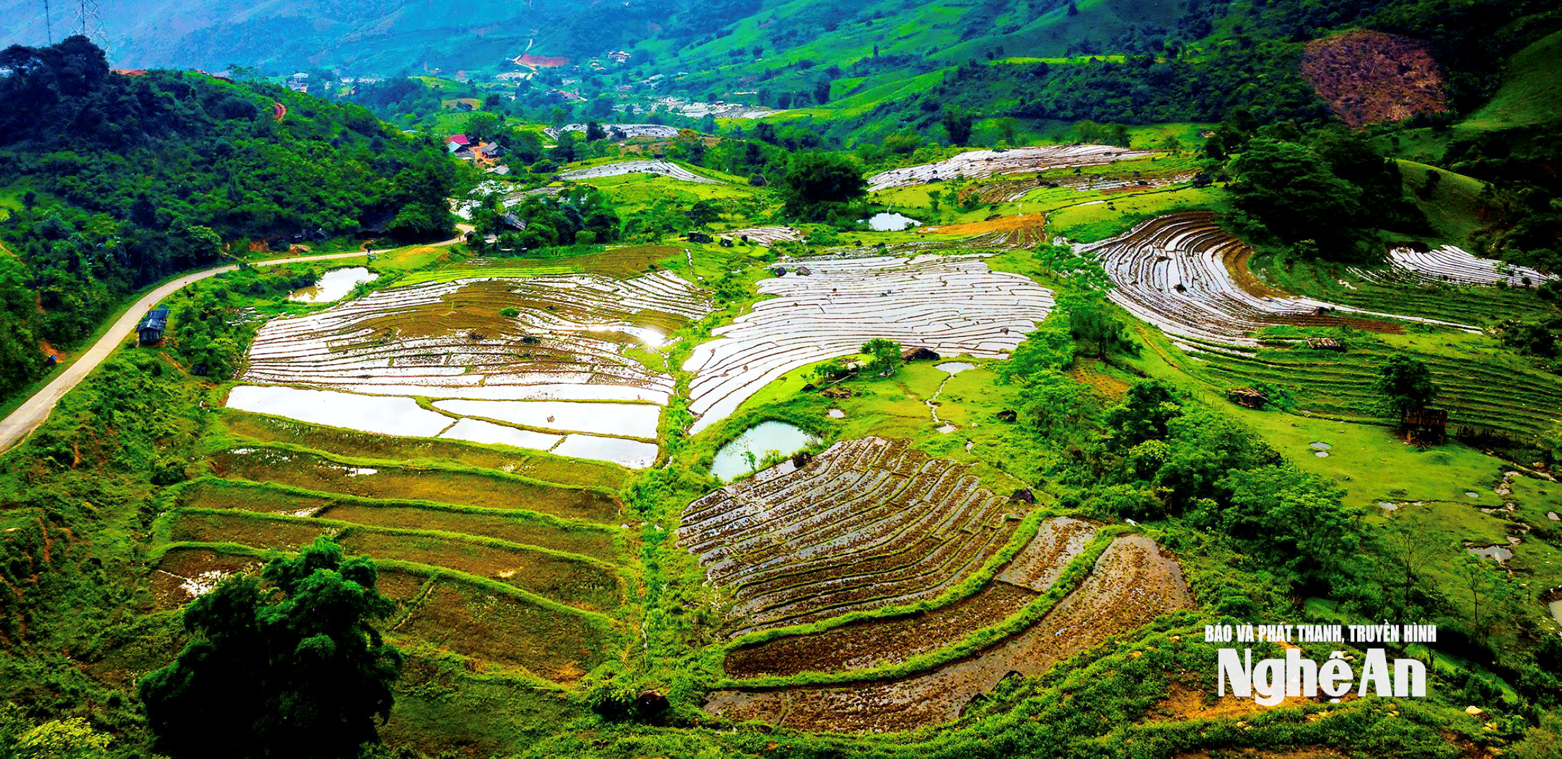 Ảnh màn hình 2025-08-26 lúc 14.17.20