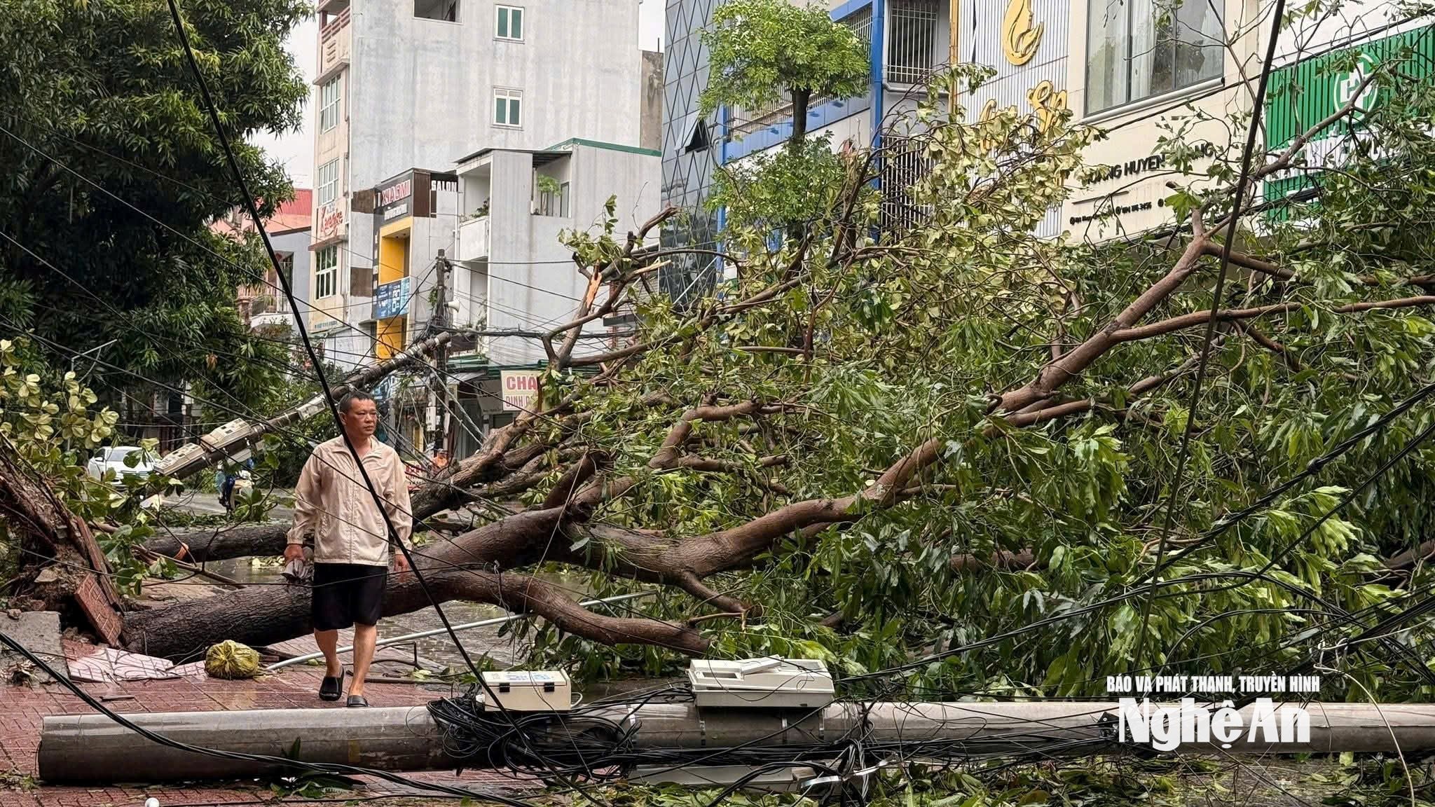  Hàng trăm cây xanh bị bật gốc, cột điện gãy đổ