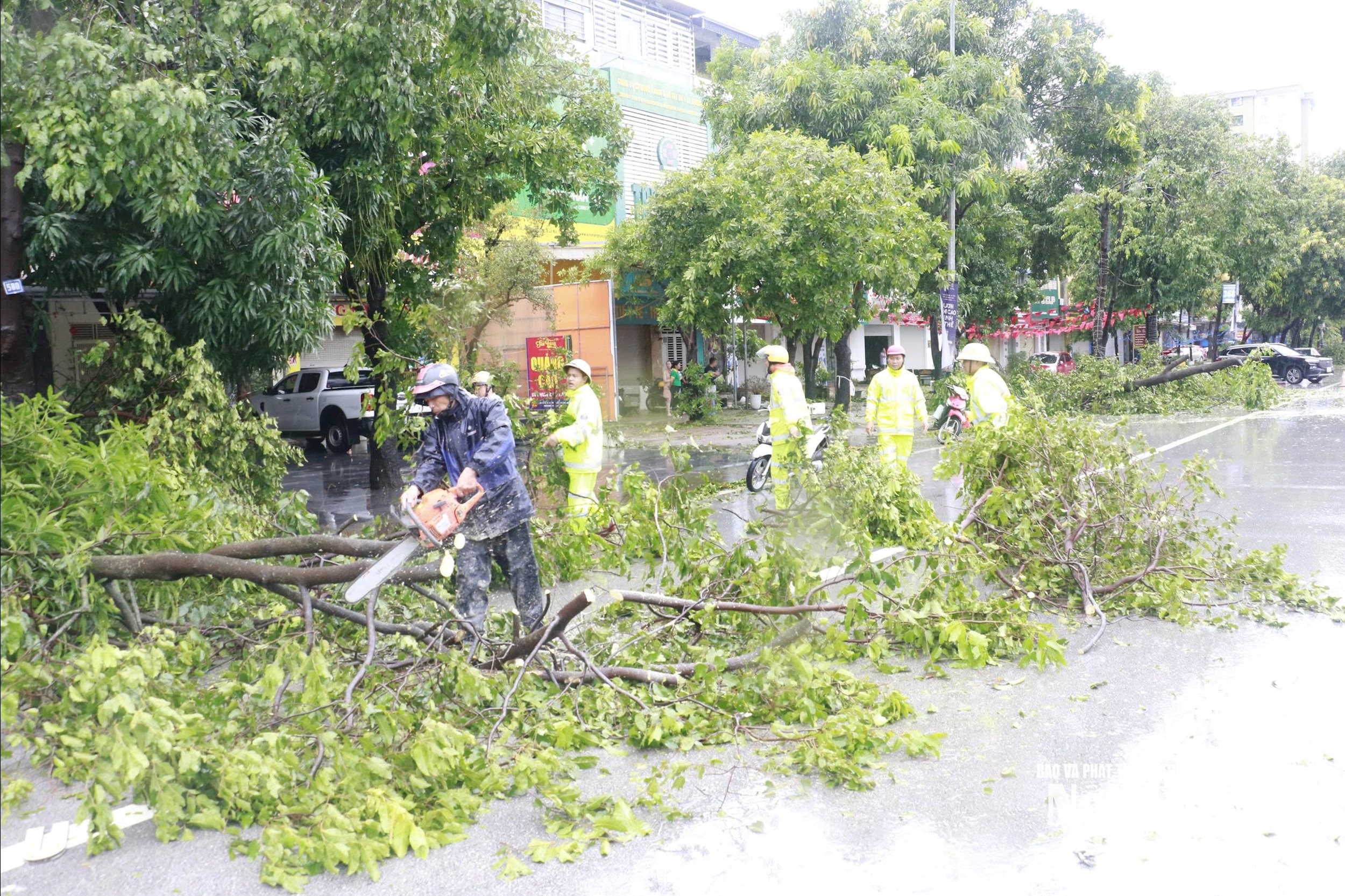 1.ảnh pv