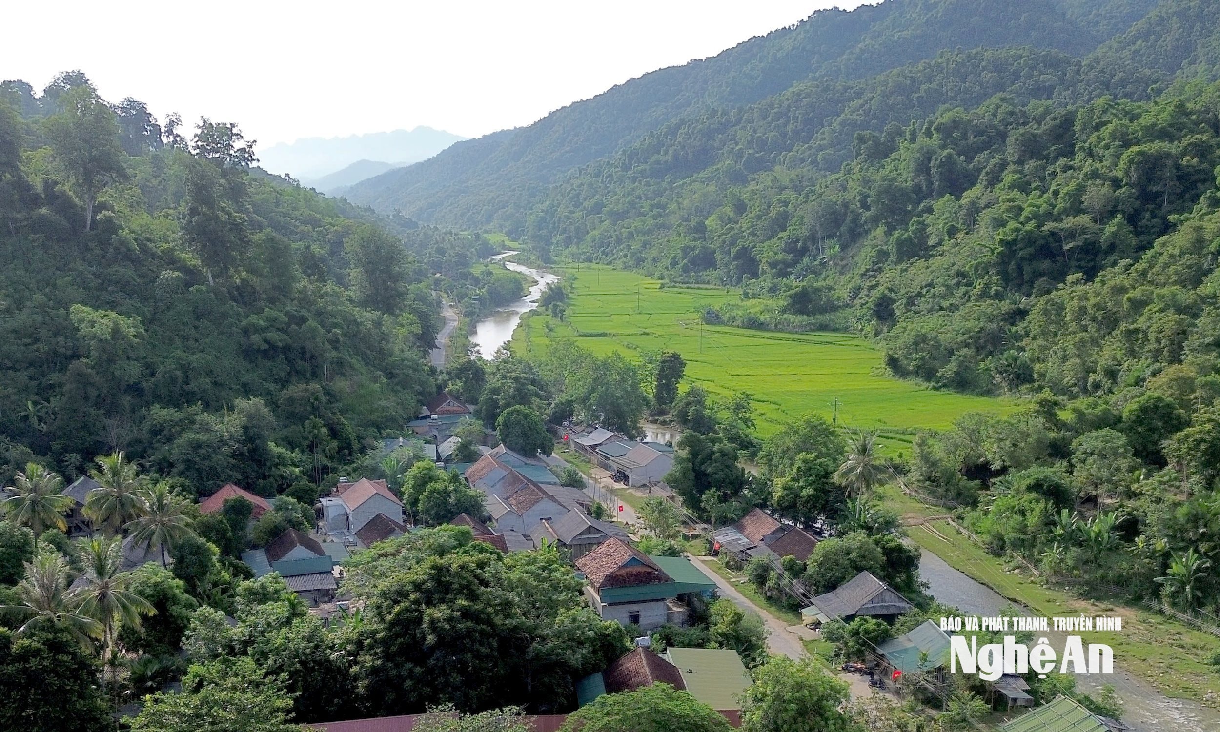 87.ảnh pv