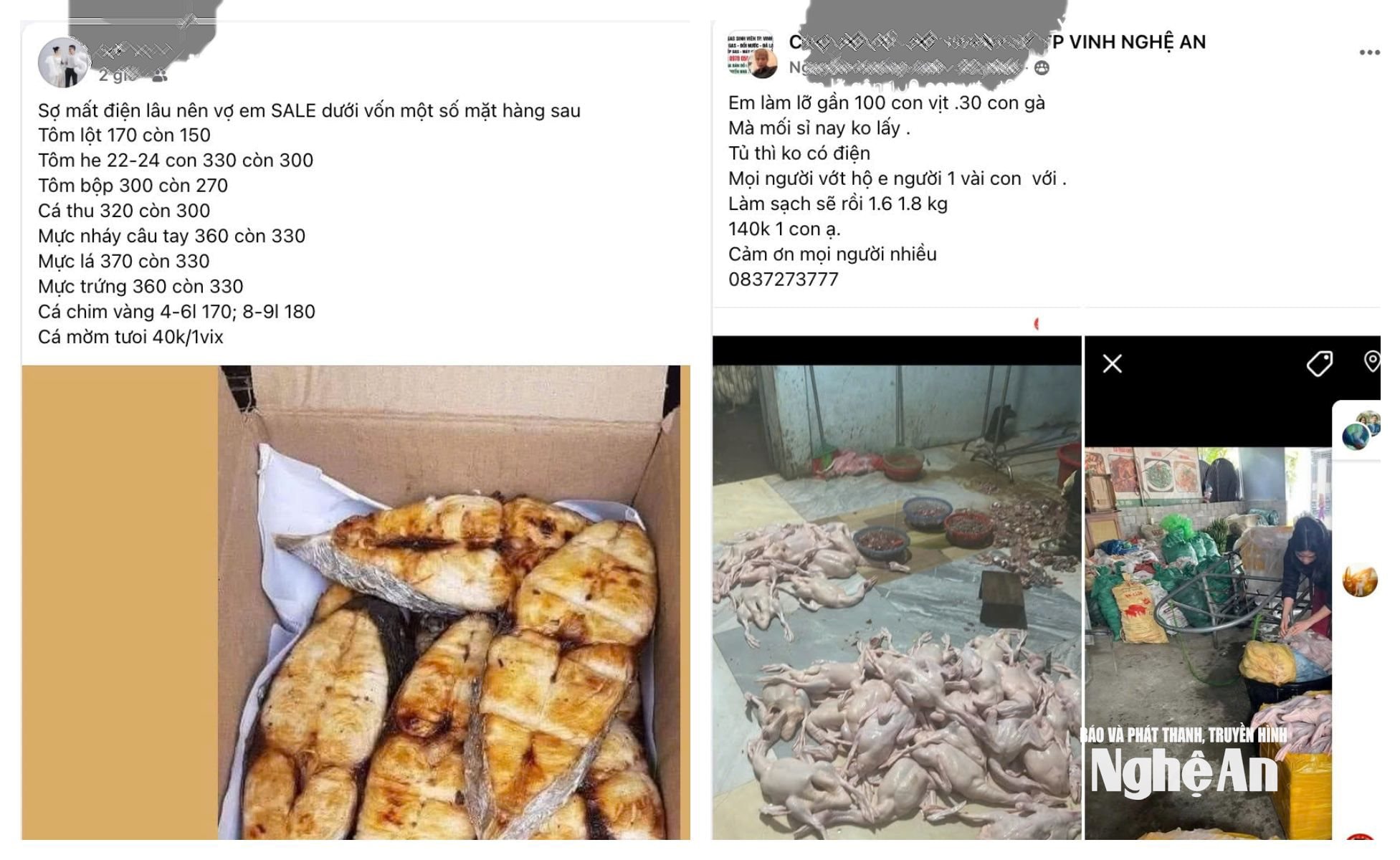 bna_ghep2.jpeg