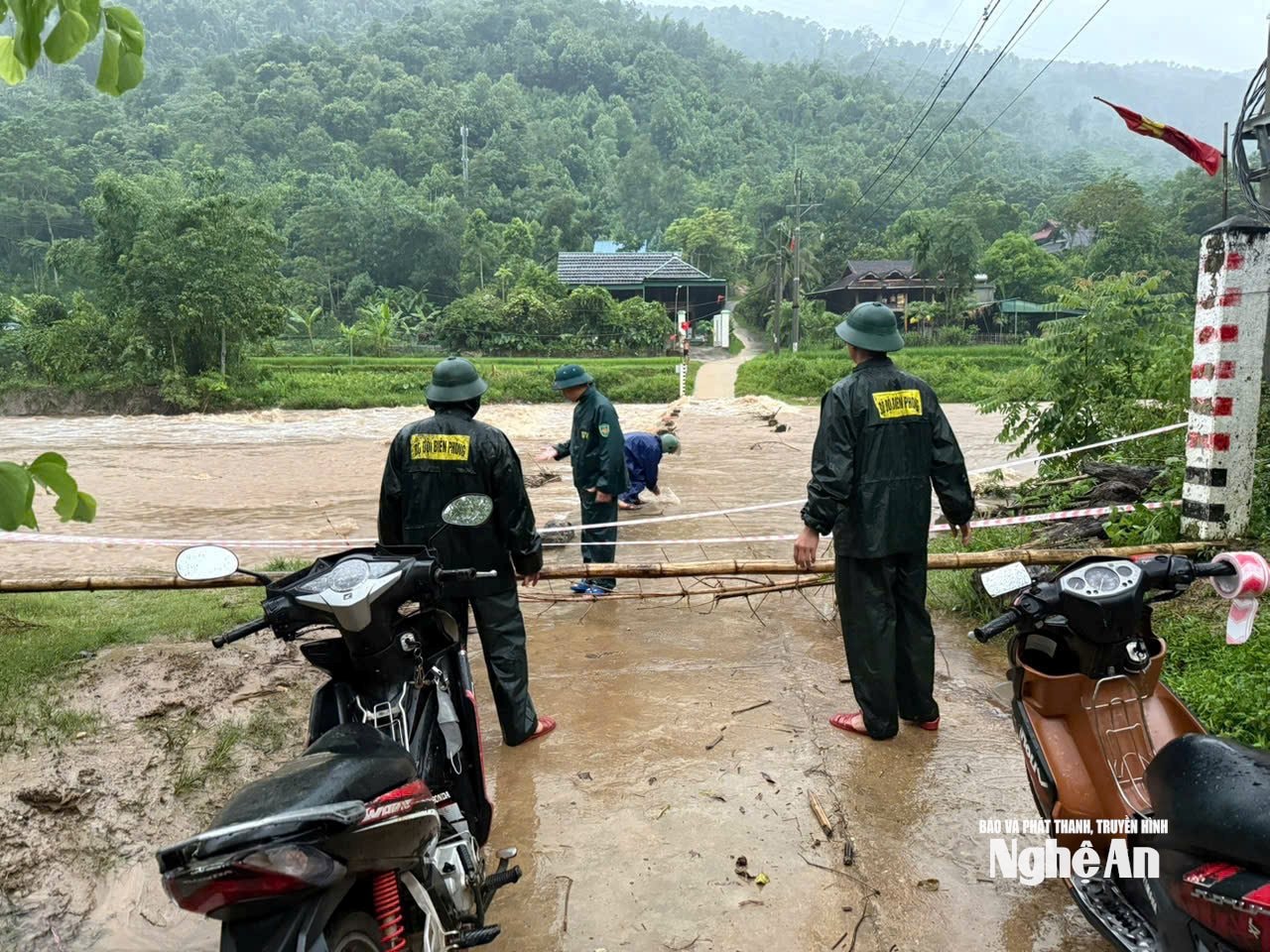 thông thụ