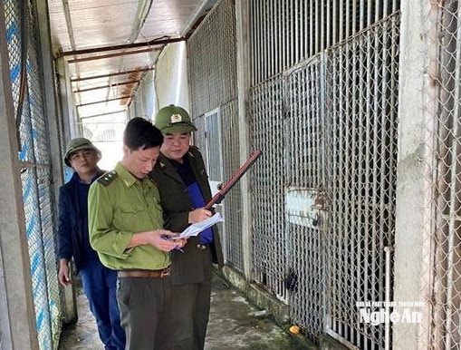 Kiểm tra cơ sở nuôi nhốt động vật hoang dã