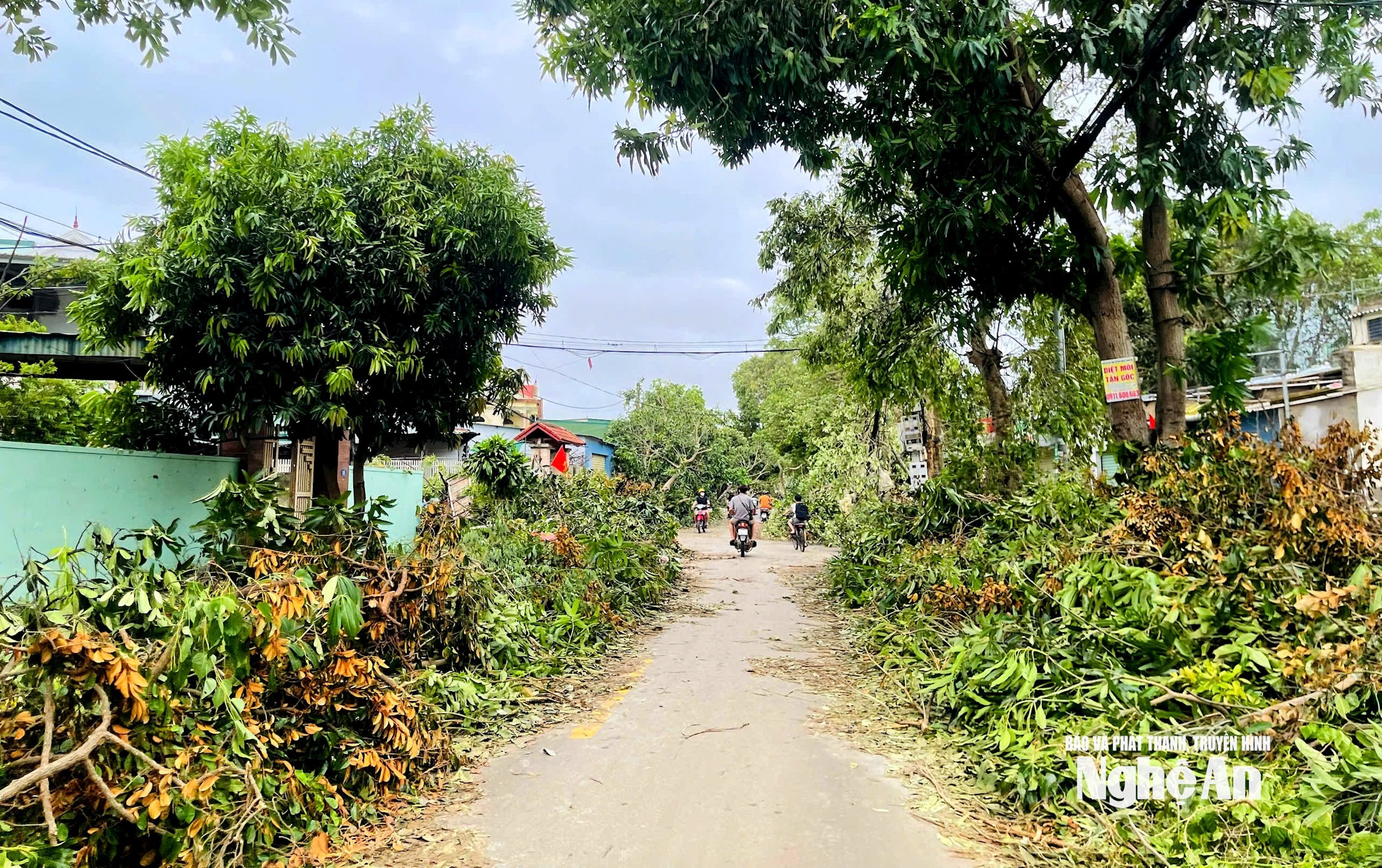 ng viết xuân