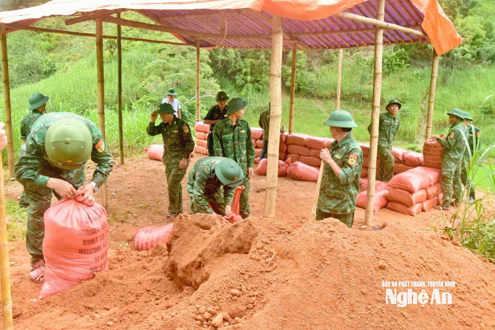 Đồn Tam Hợp đào 