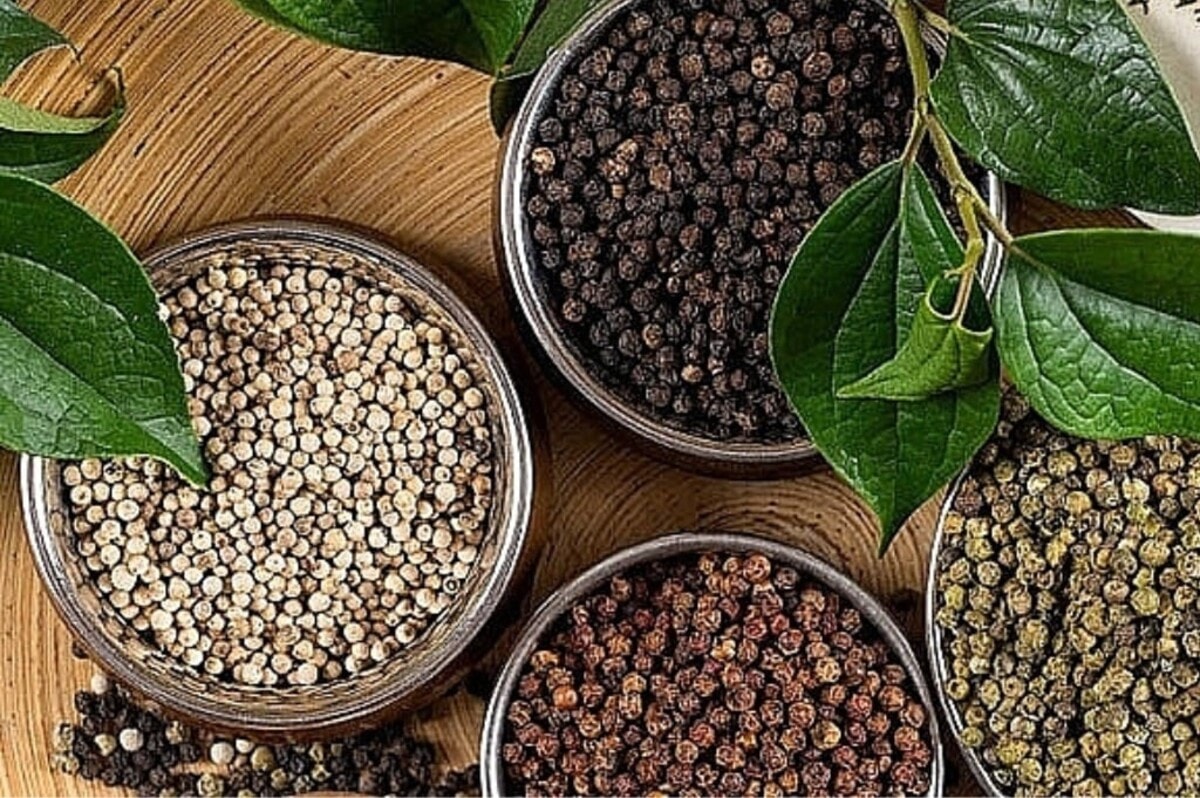 Preço da pimenta hoje 31 de agosto de 2025: Caindo ligeiramente