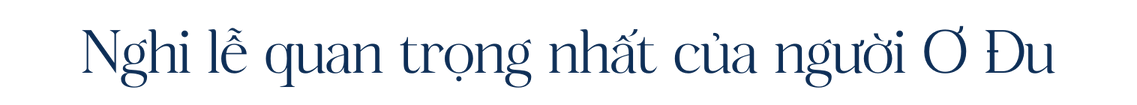 titphu1-ngang.png