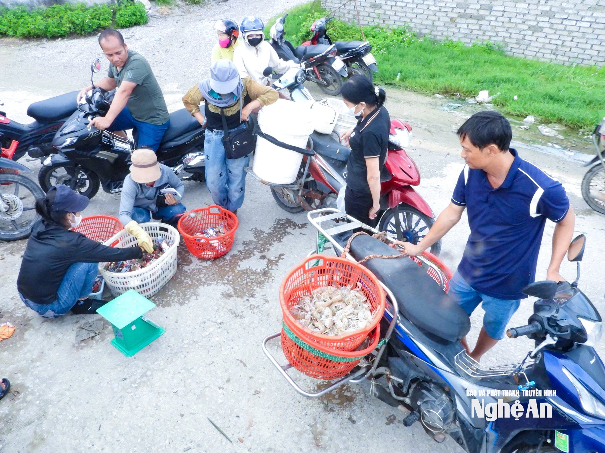 Di pelabuhan perikanan, para pedagang berlomba membeli ikan dari kapal yang baru saja menangkap ikan. Foto: T.P.