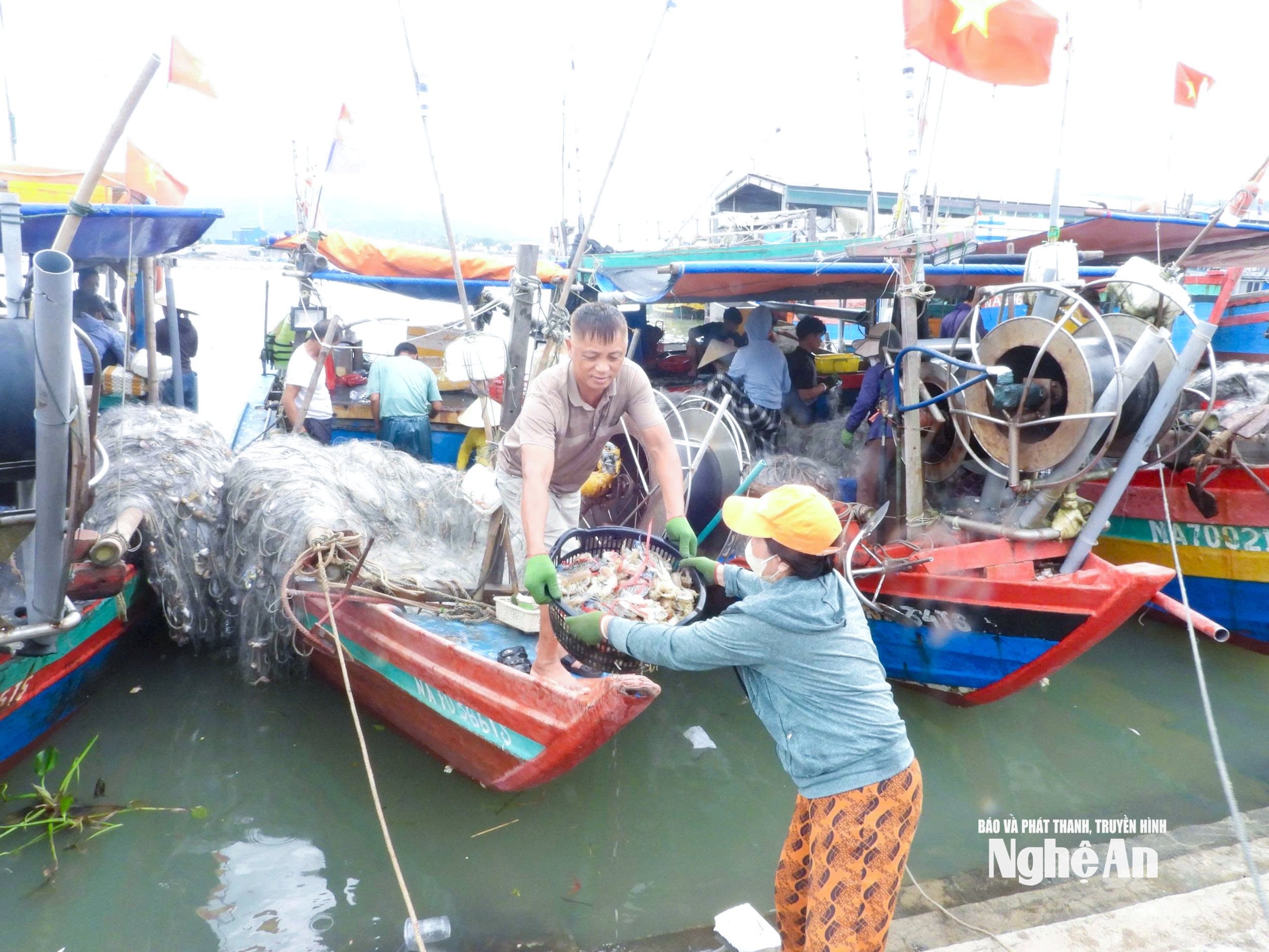 kepiting 2