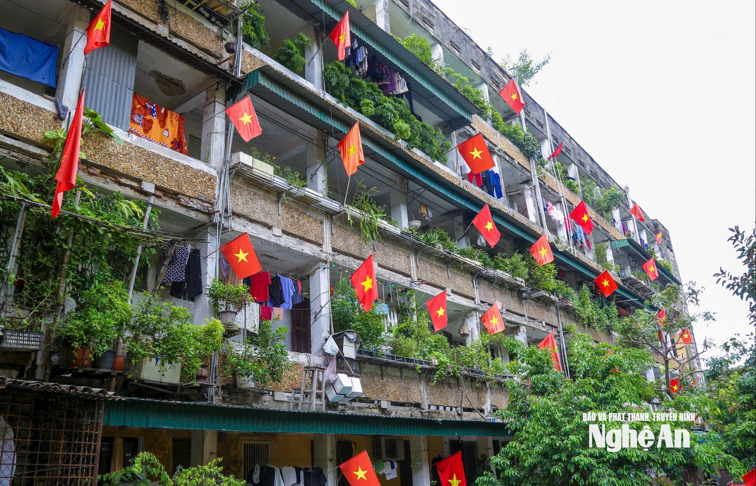 rực rỡ cờ hoa Tết độc lập Đình Tuyên0